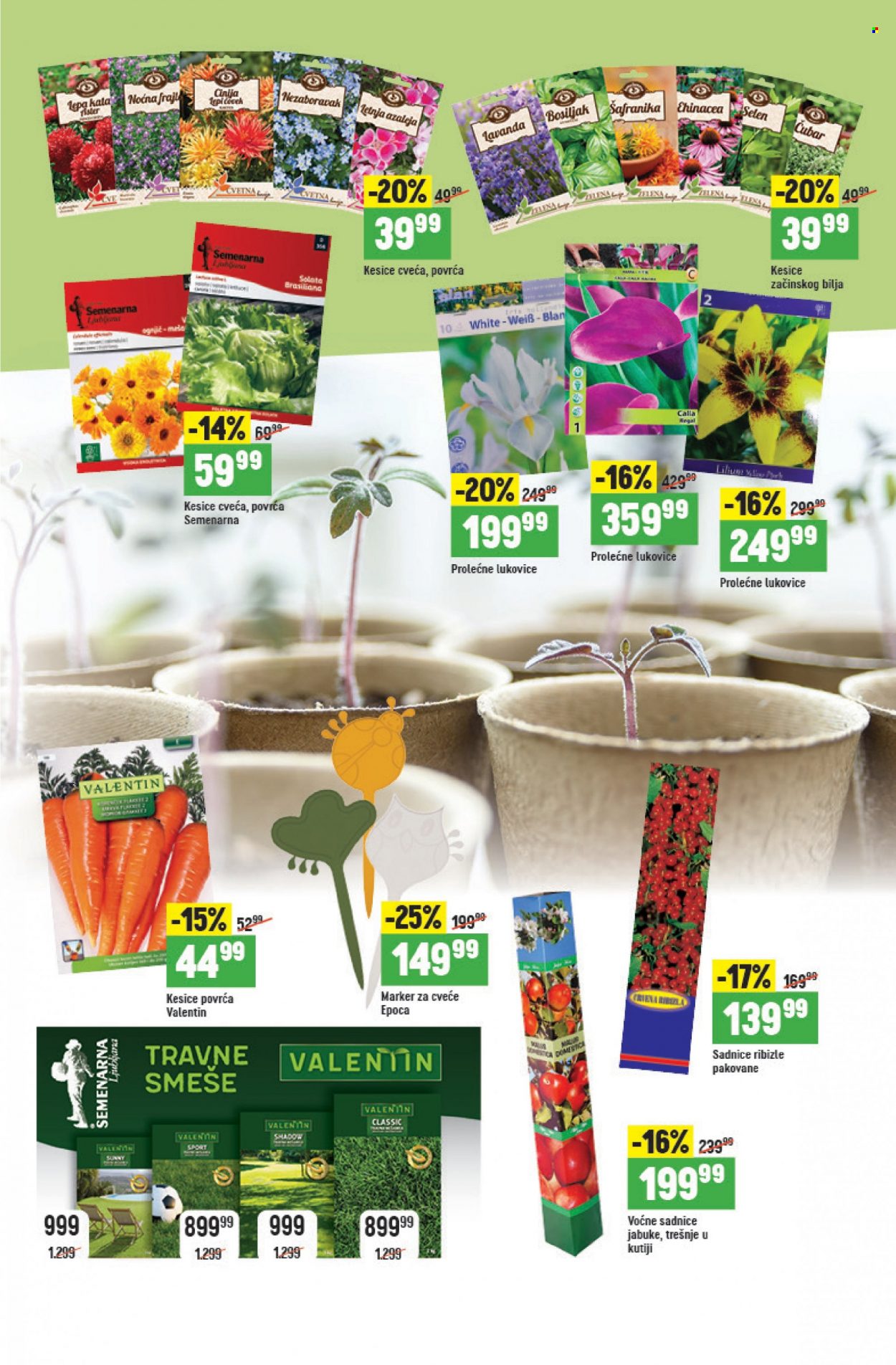 Mega Maxi katalog - 09.03.2023 - 05.04.2023 - Proizvodi na akciji - markeri, sadnice, voćne sadnice, seme cveća, seme začinskog bilja, lukovice cveća, seme povrća. Stranica 4.