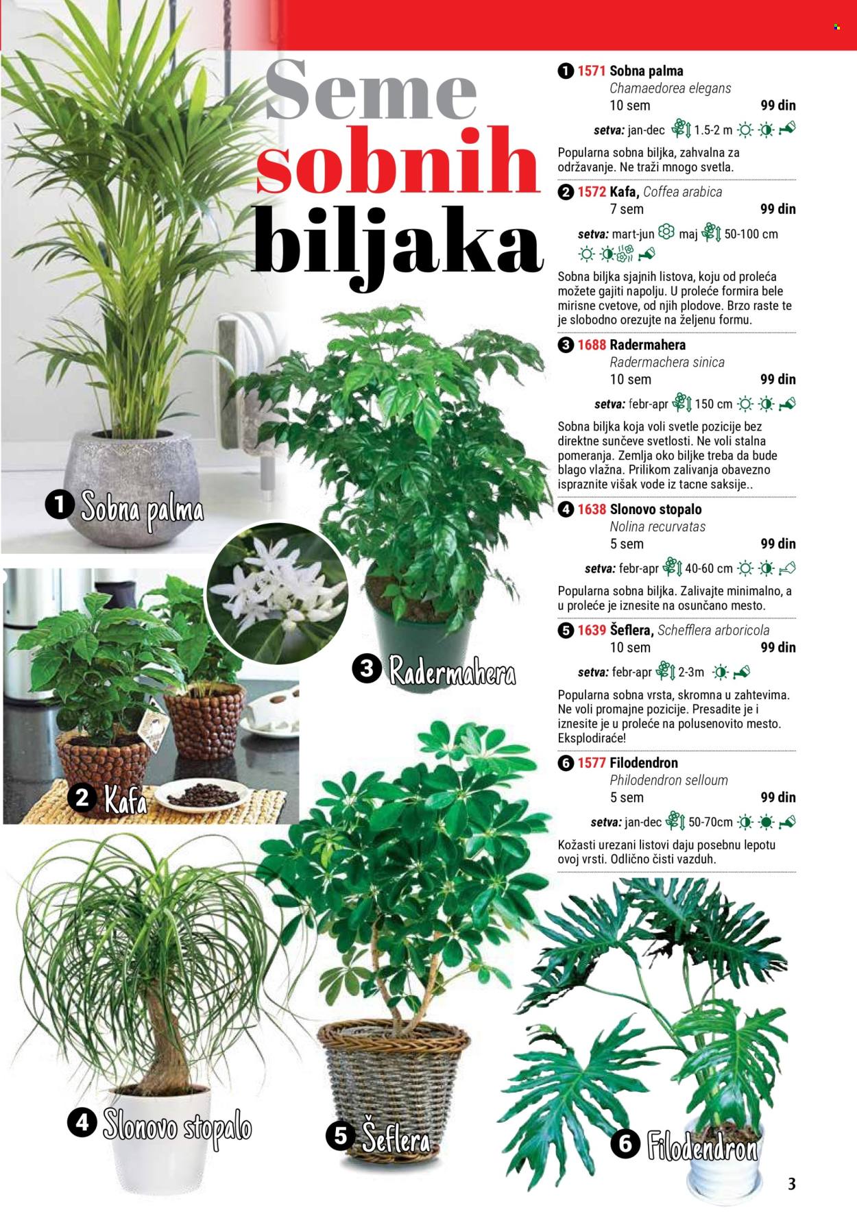 thumbnail - Flora Ekspres katalog - Proizvodi na akciji - sobne biljke, zemlja. Stranica 3.