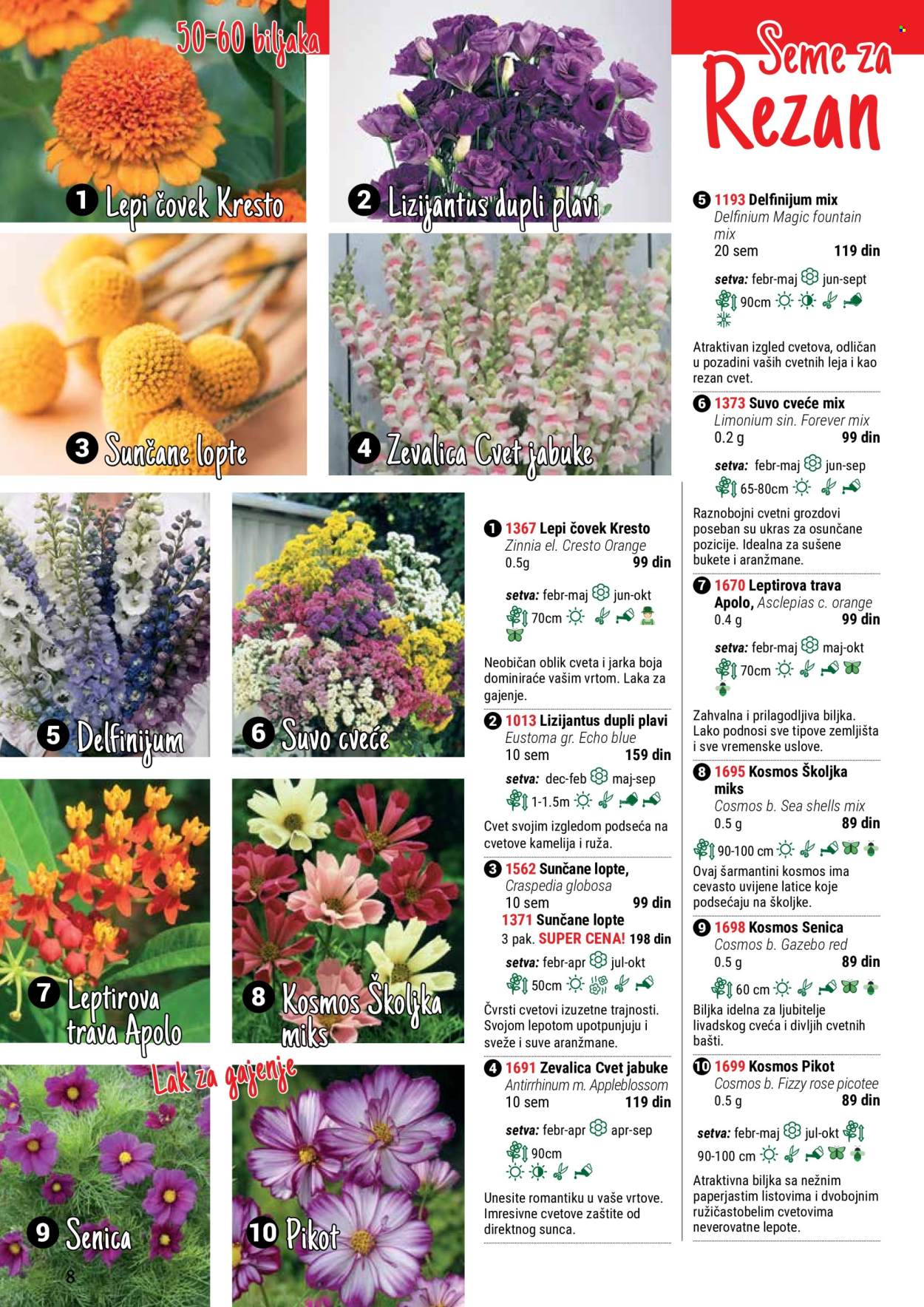 thumbnail - Flora Ekspres katalog - Proizvodi na akciji - cveće, ruže, sobne biljke, ukrasne sobne biljke, kamelija. Stranica 8.