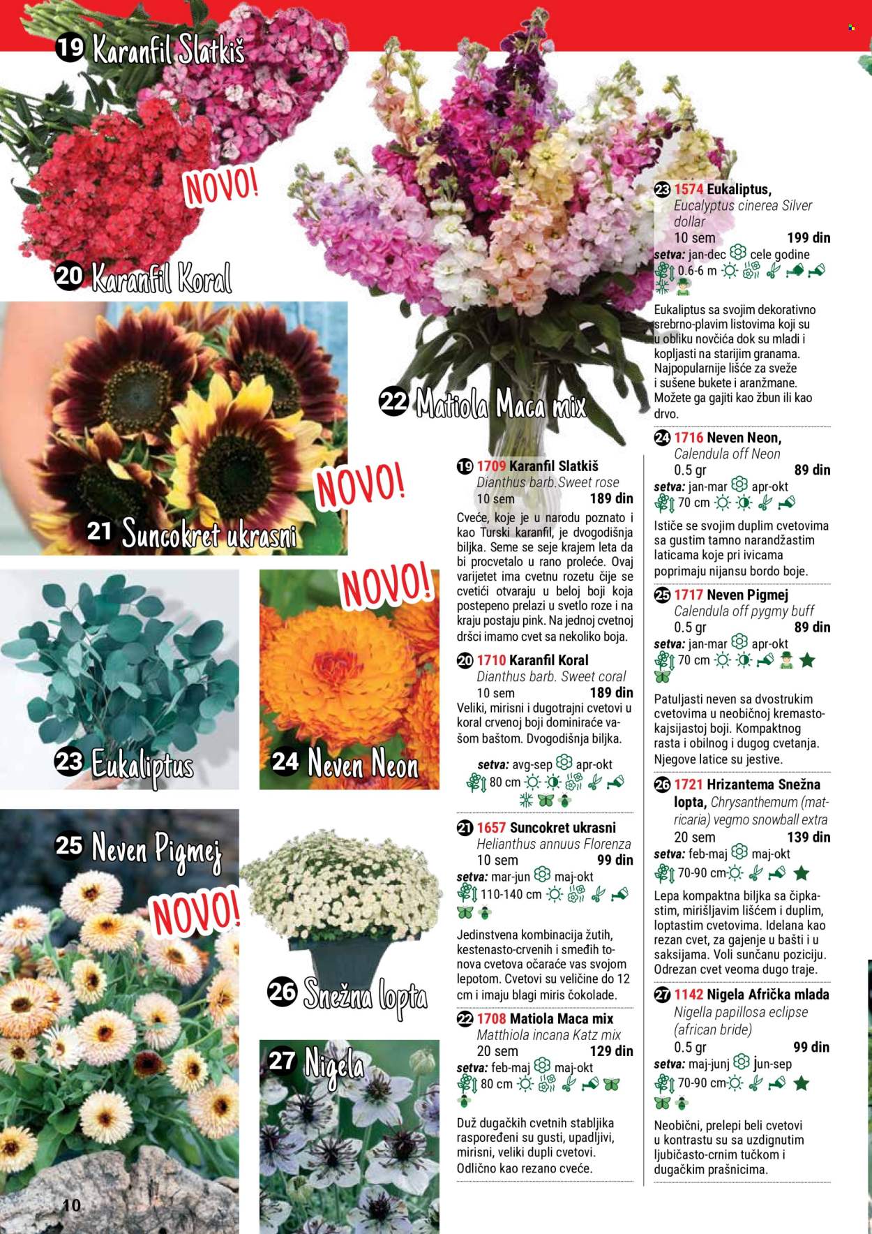 thumbnail - Flora Ekspres katalog - Proizvodi na akciji - cveće, karanfil, sobne biljke, suncokret, hrizantema. Stranica 10.