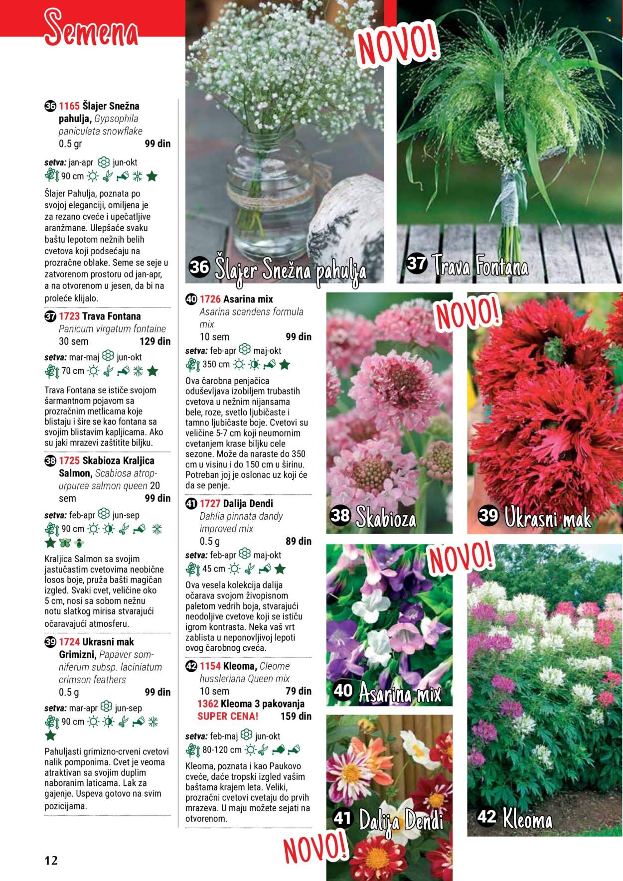 thumbnail - Flora Ekspres katalog - Proizvodi na akciji - cveće, Dahlia. Stranica 12.