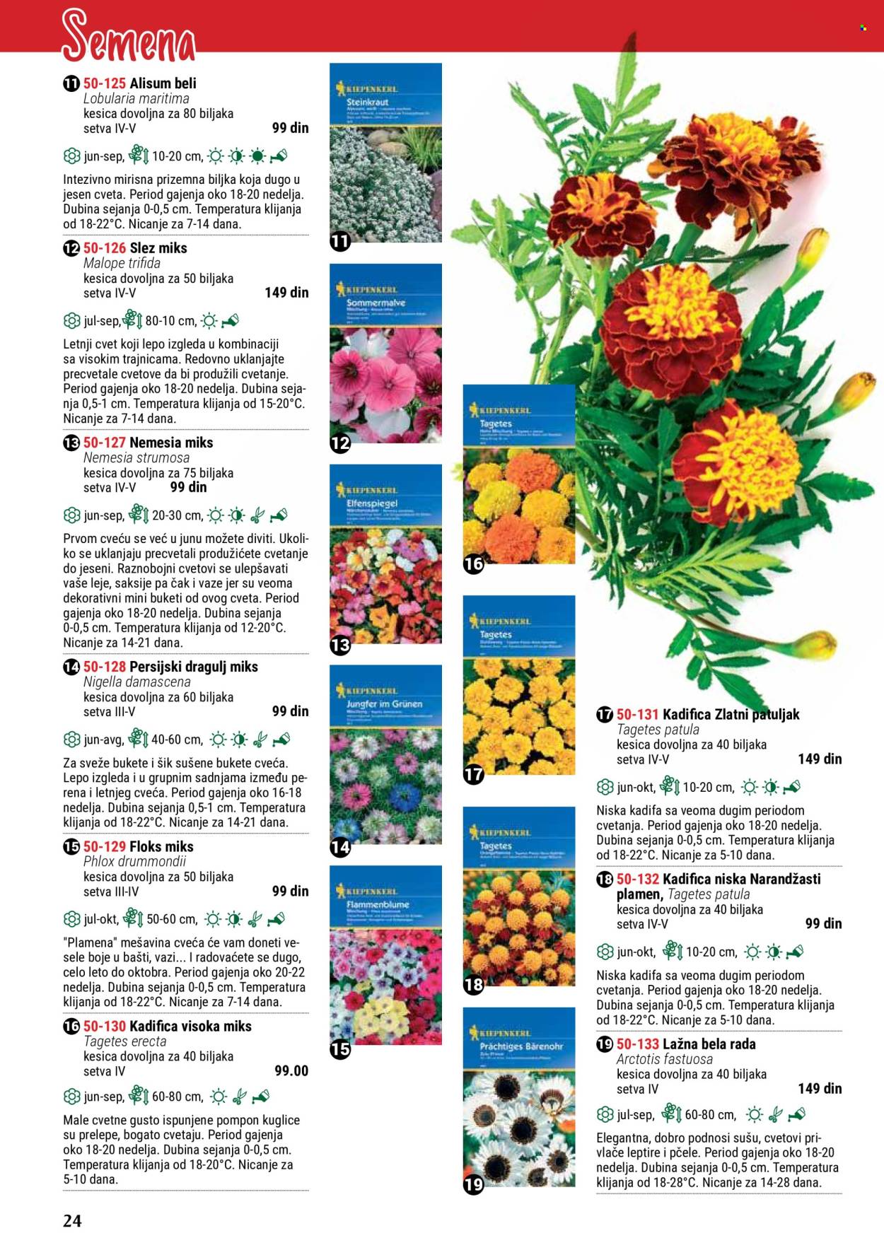thumbnail - Flora Ekspres katalog - Proizvodi na akciji - dekoracija. Stranica 24.