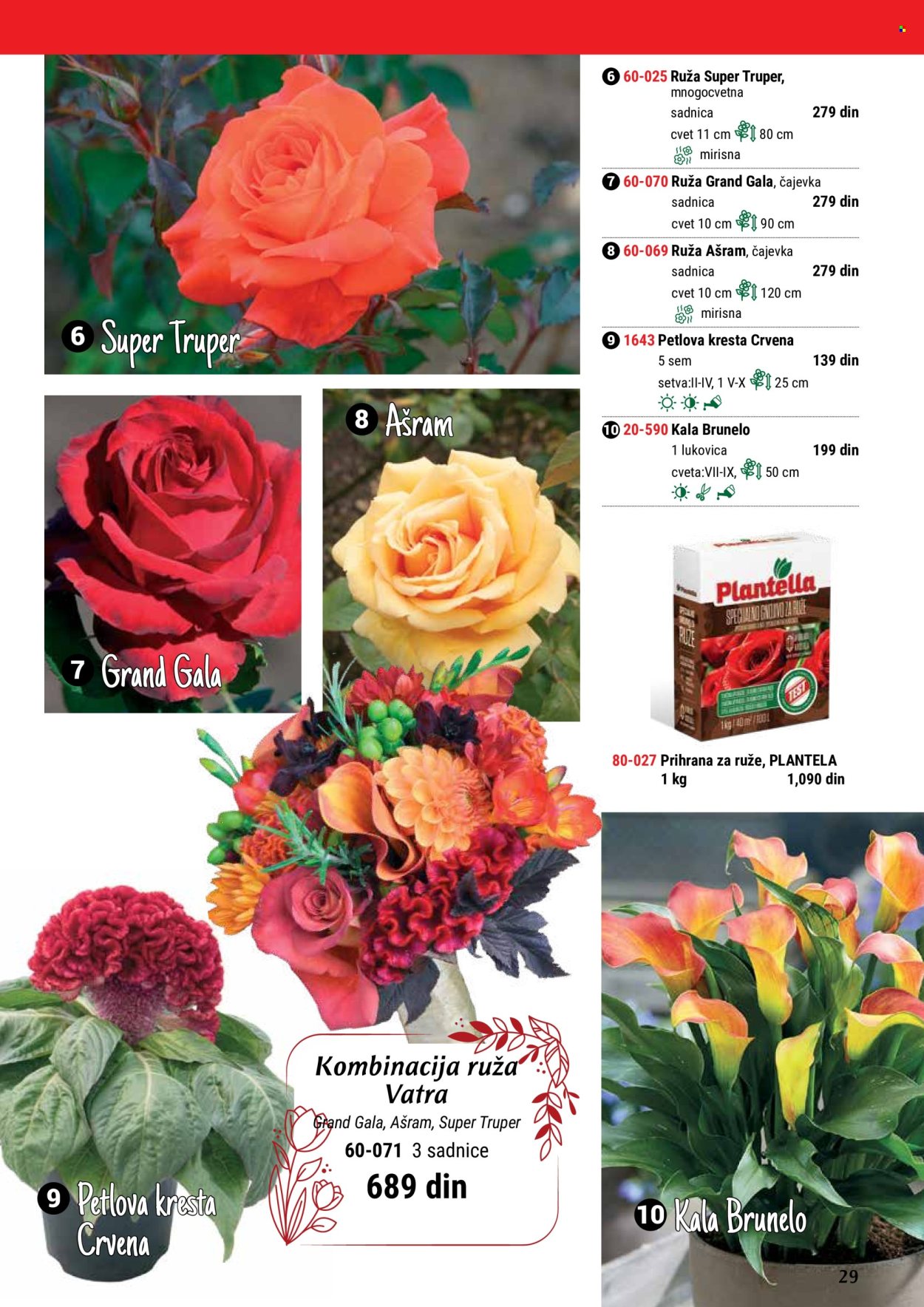 thumbnail - Flora Ekspres katalog - Proizvodi na akciji - sadnice, sobne biljke, kala, ukrasne sobne biljke. Stranica 29.