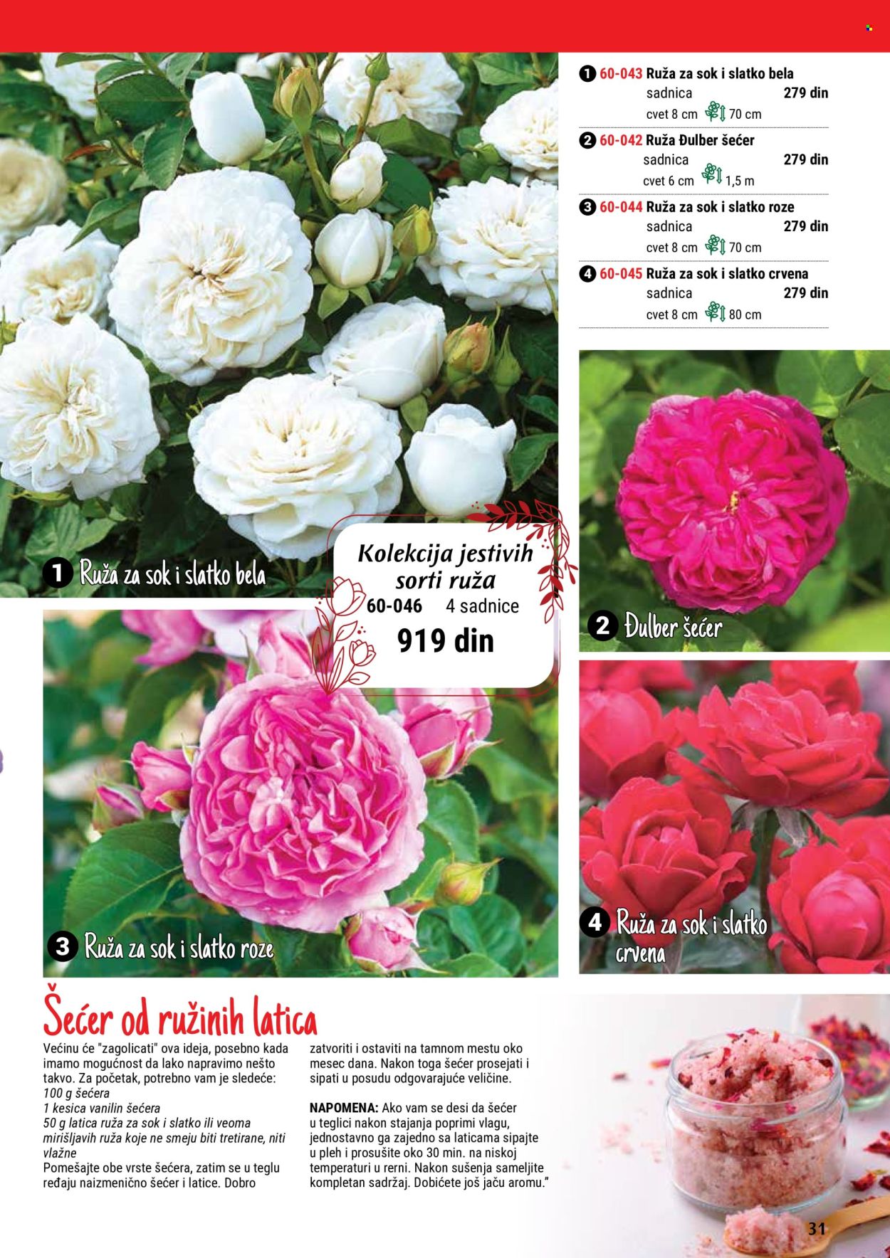 thumbnail - Flora Ekspres katalog - Proizvodi na akciji - sadnice, ruže. Stranica 31.