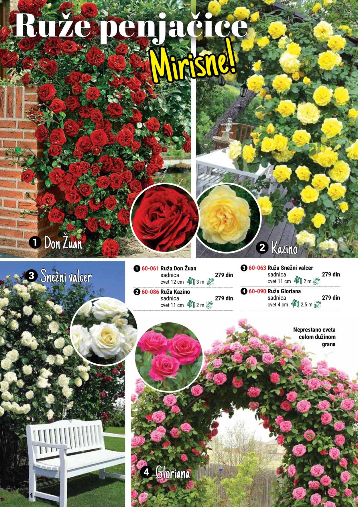 thumbnail - Flora Ekspres katalog - Proizvodi na akciji - sadnice, ruže. Stranica 34.