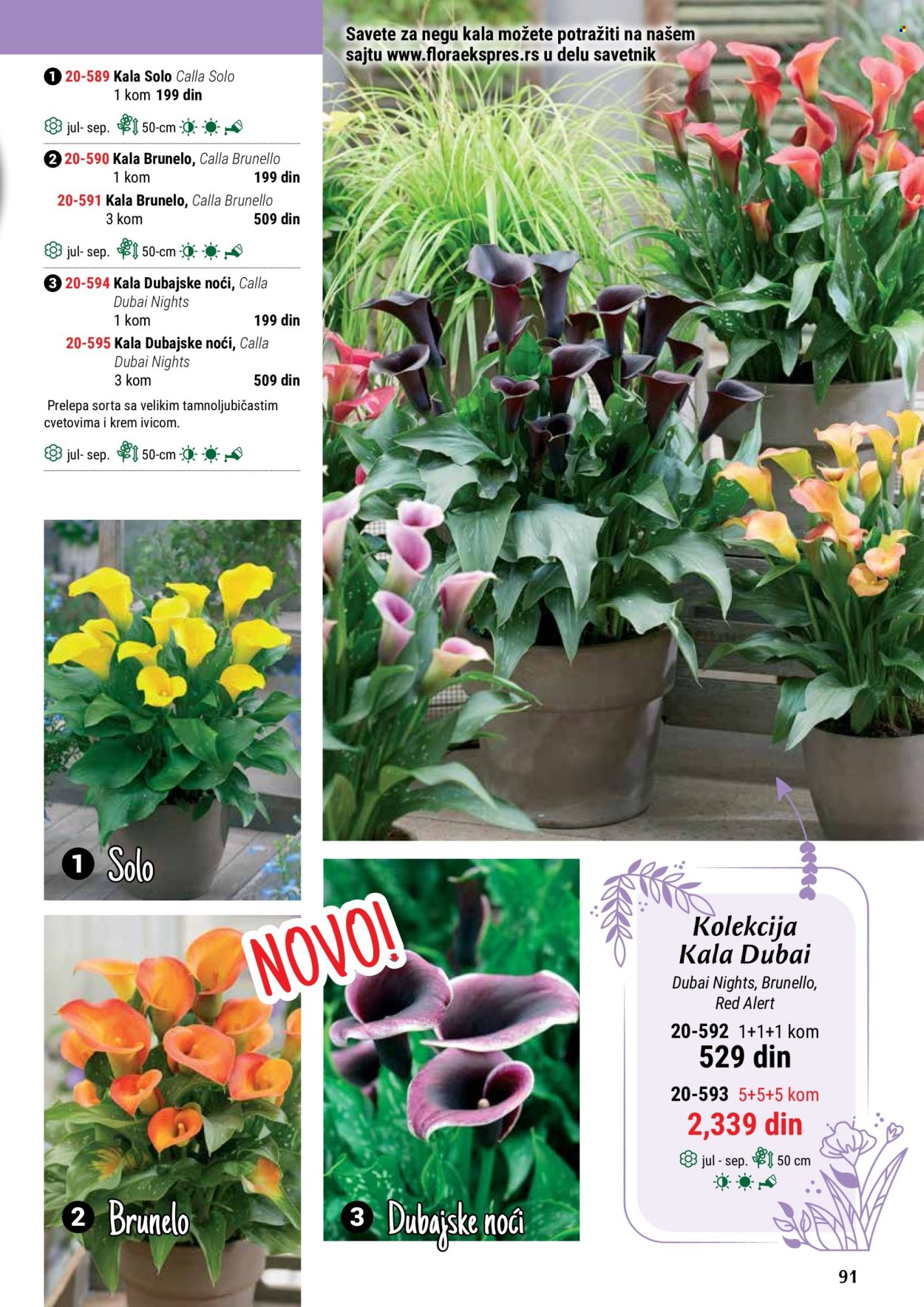 thumbnail - Flora Ekspres katalog - Proizvodi na akciji - sobne biljke, kala, ukrasne sobne biljke. Stranica 91.