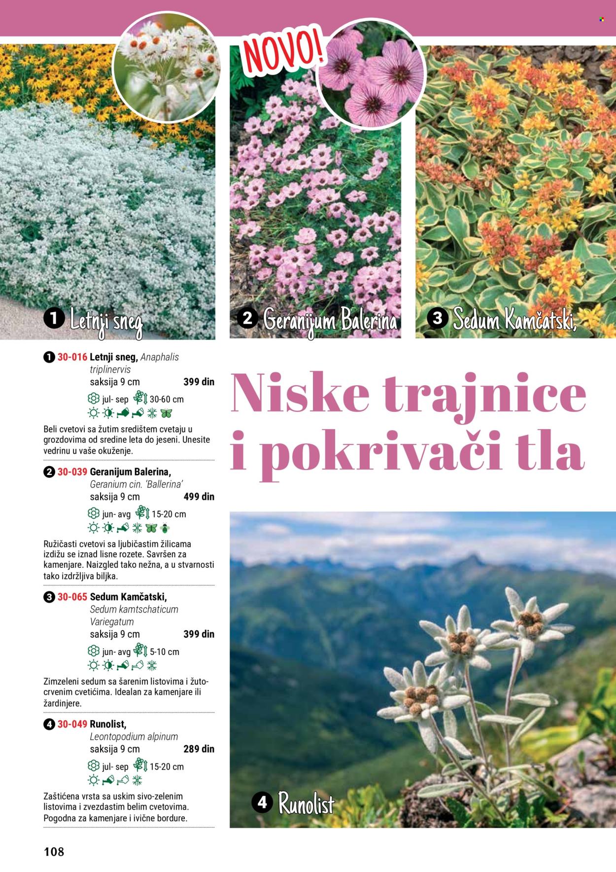 thumbnail - Flora Ekspres katalog - Proizvodi na akciji - saksija. Stranica 108.