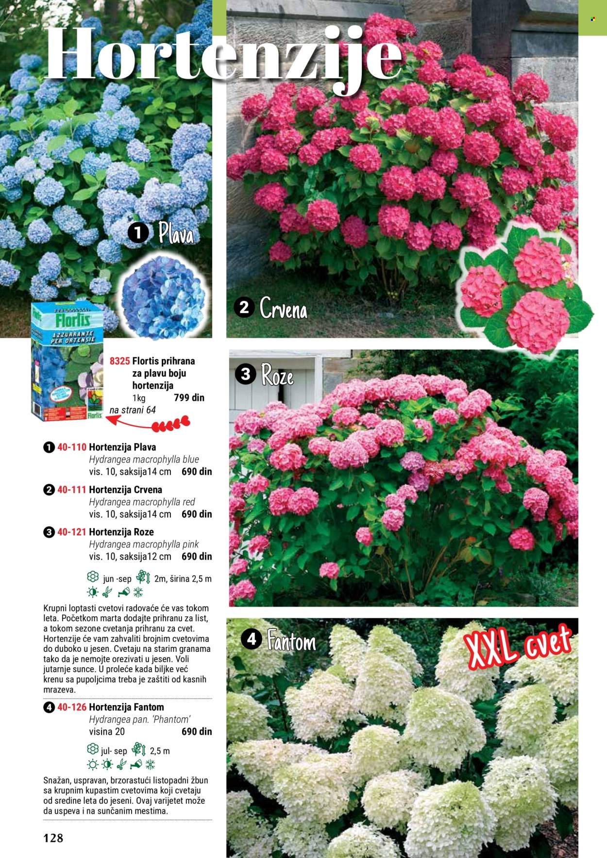 thumbnail - Flora Ekspres katalog - Proizvodi na akciji - hortenzija. Stranica 128.