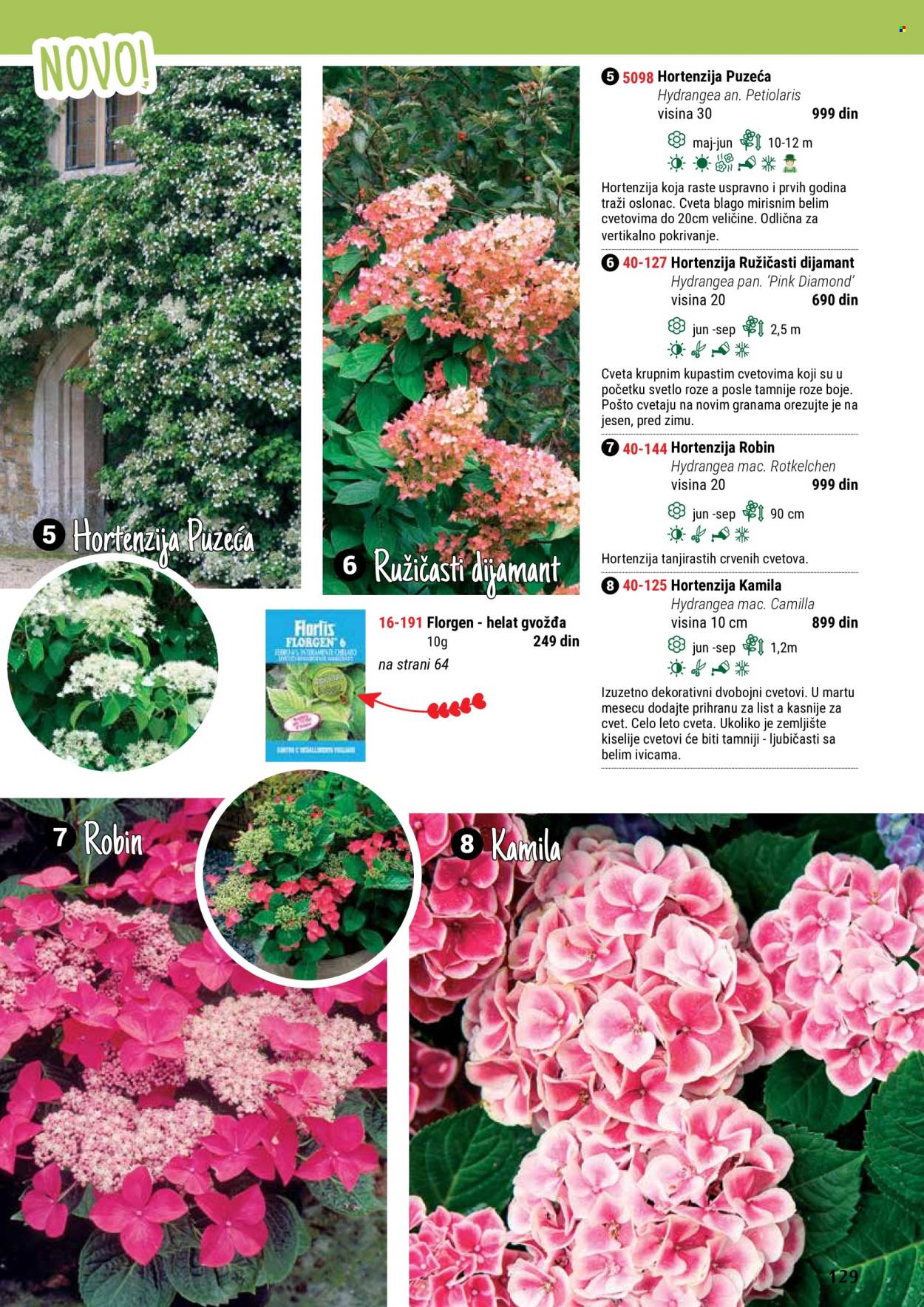 thumbnail - Flora Ekspres katalog - Proizvodi na akciji - hortenzija. Stranica 129.