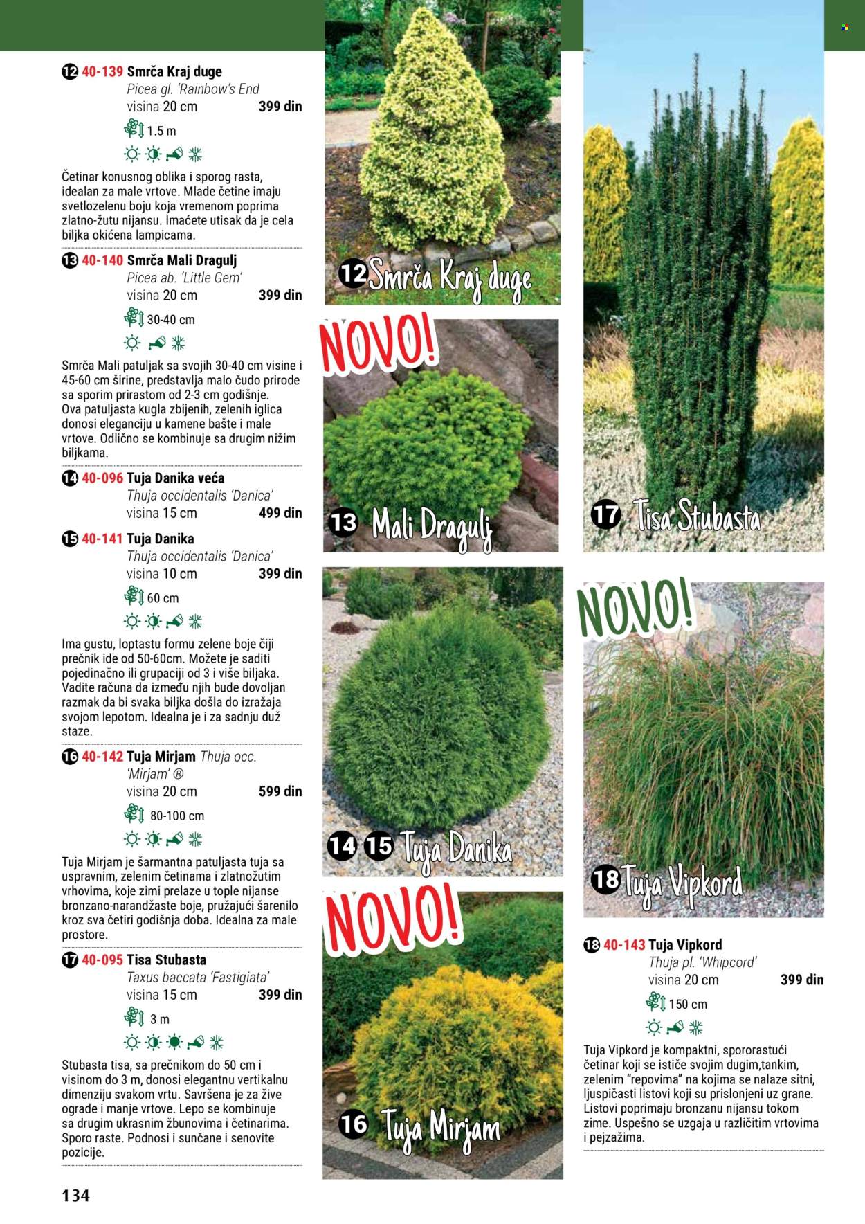thumbnail - Flora Ekspres katalog - Proizvodi na akciji - dekoracija. Stranica 134.