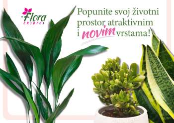 thumbnail - Flora Ekspres katalog