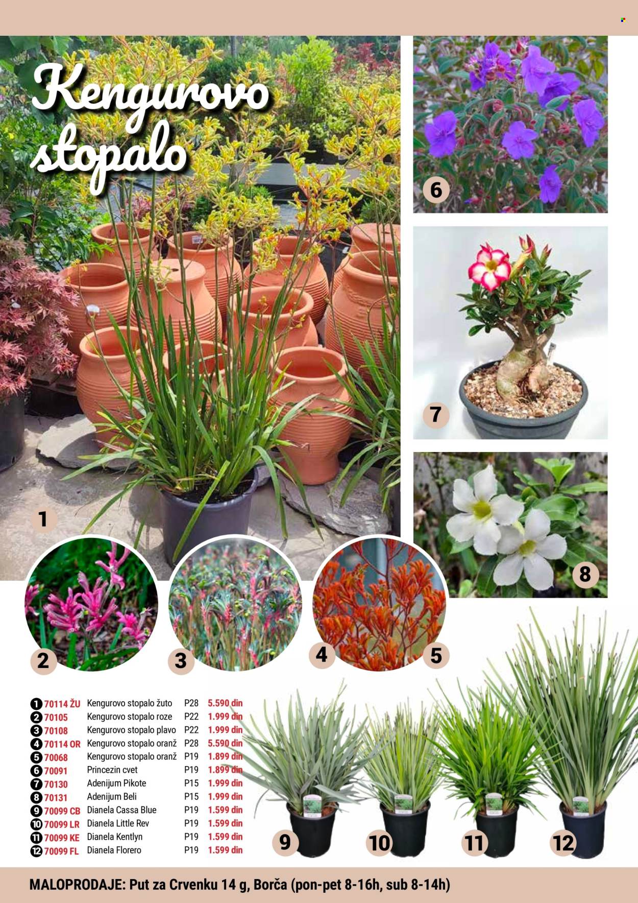 Flora Ekspres katalog. Stranica 1