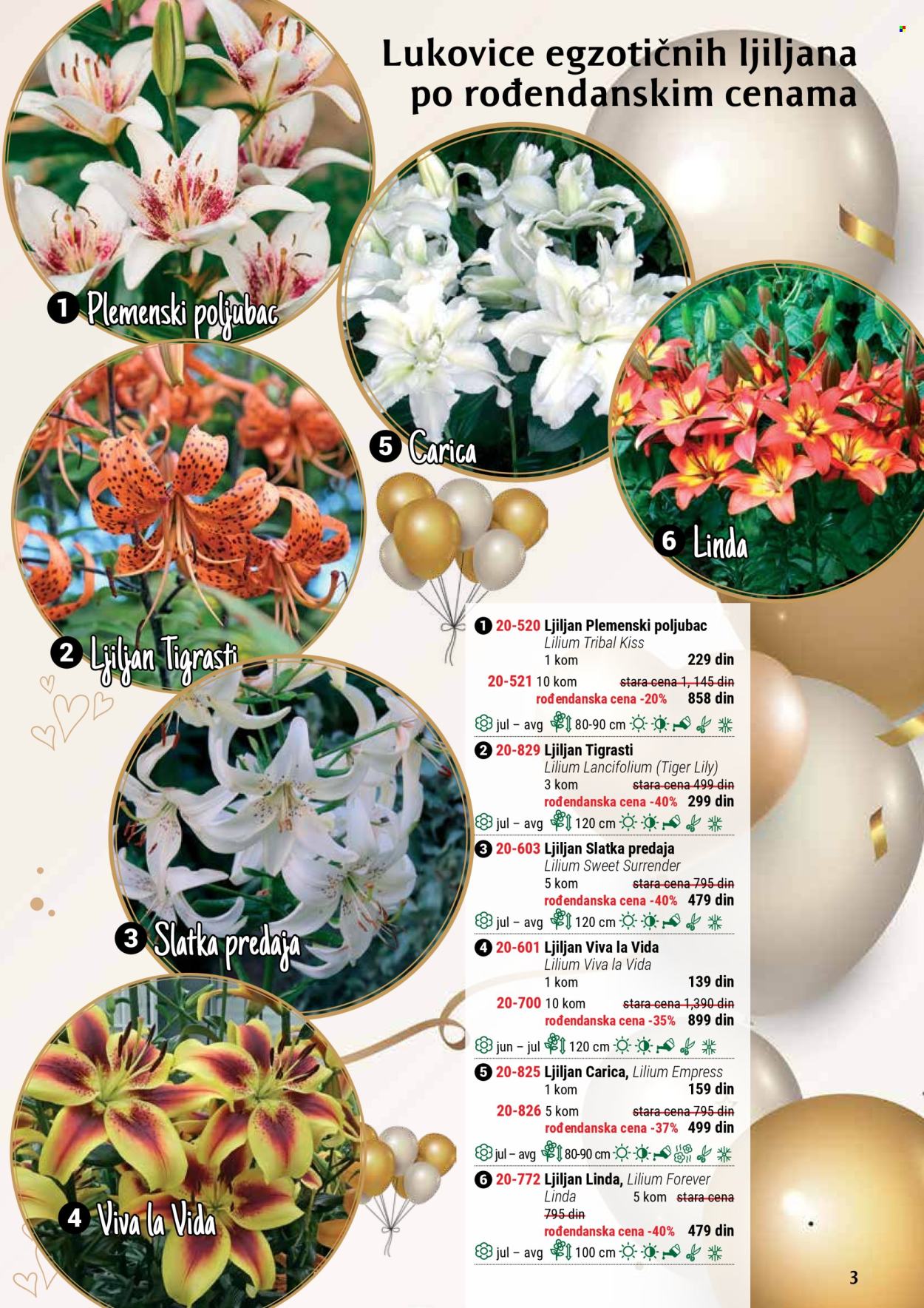 Flora Ekspres katalog. Stranica 1