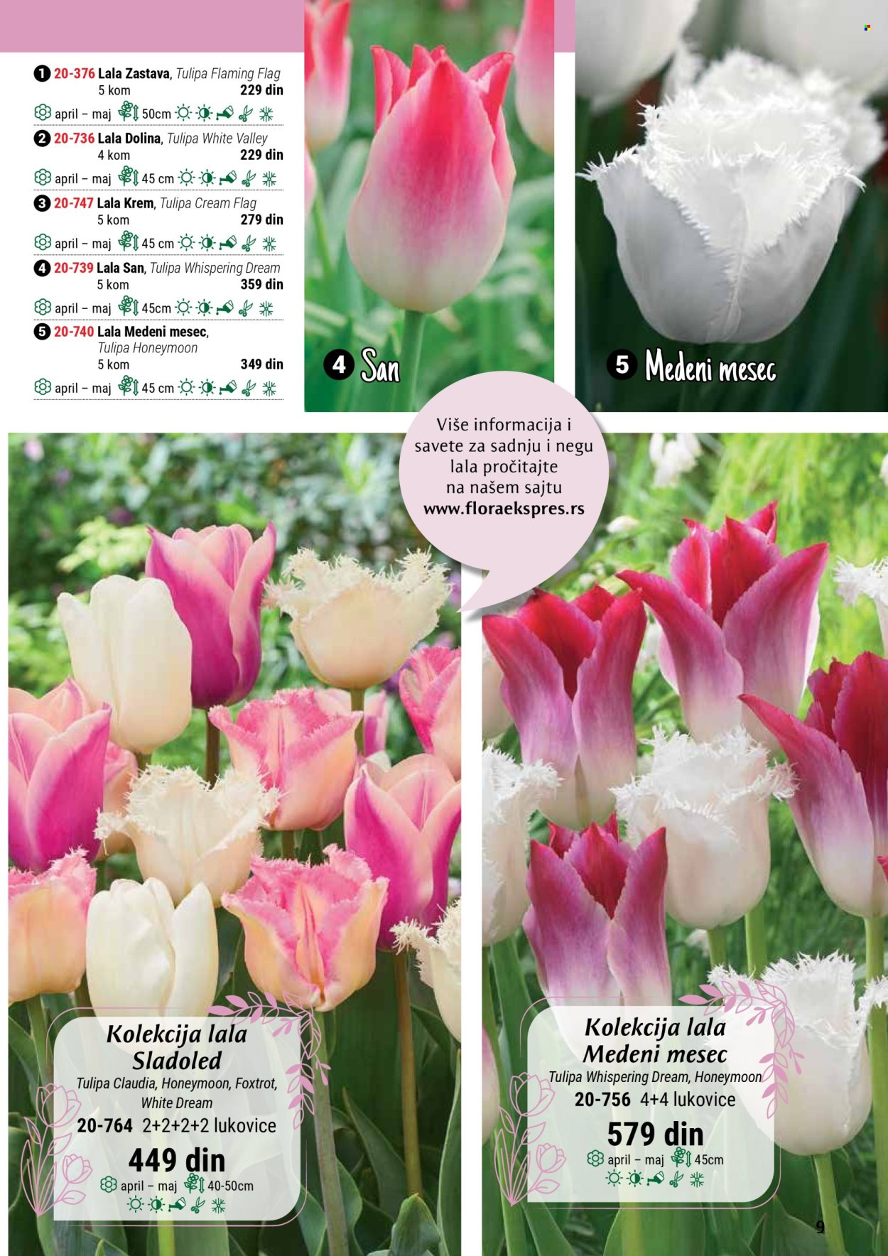 Flora Ekspres katalog. Stranica 1