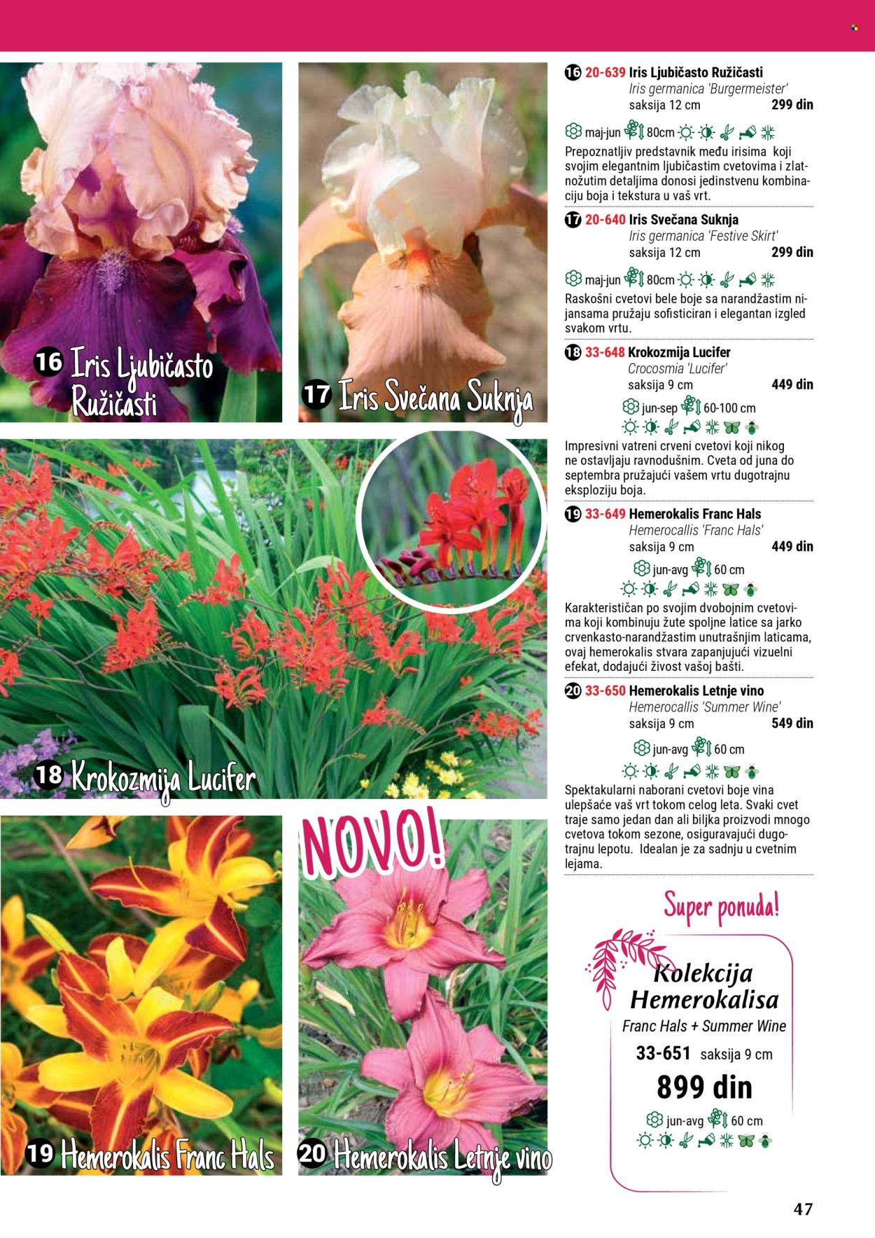 Flora Ekspres katalog. Stranica 1