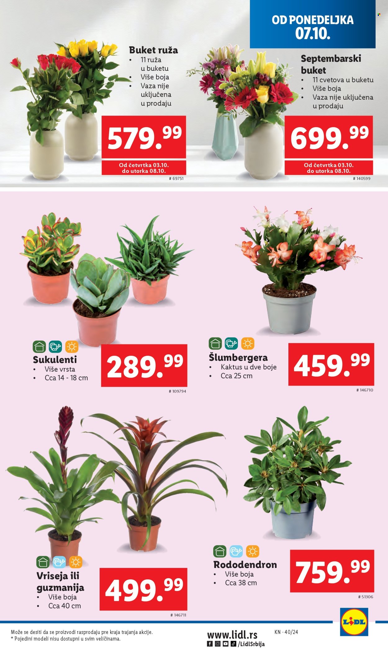 Lidl katalog - 03.10.2024 - 09.10.2024. Stranica 33