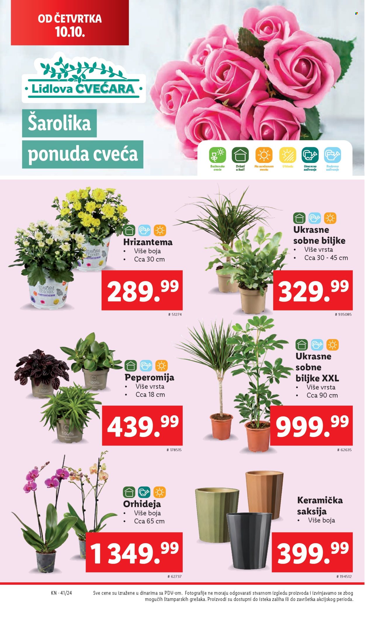 Lidl katalog - 10.10.2024 - 16.10.2024. Stranica 36