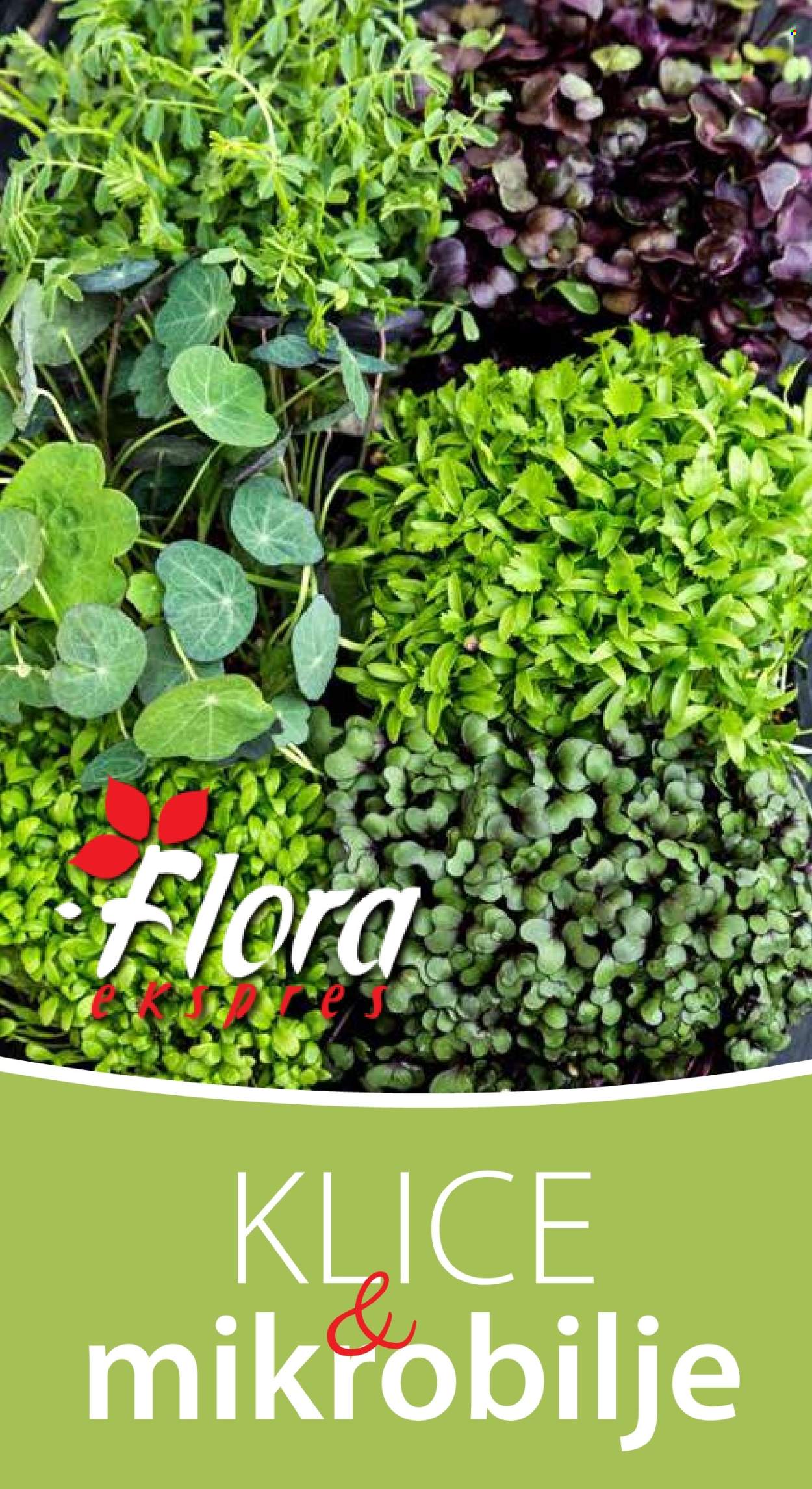 Flora Ekspres katalog. Stranica 1