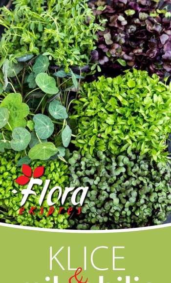 Flora Ekspres katalog.