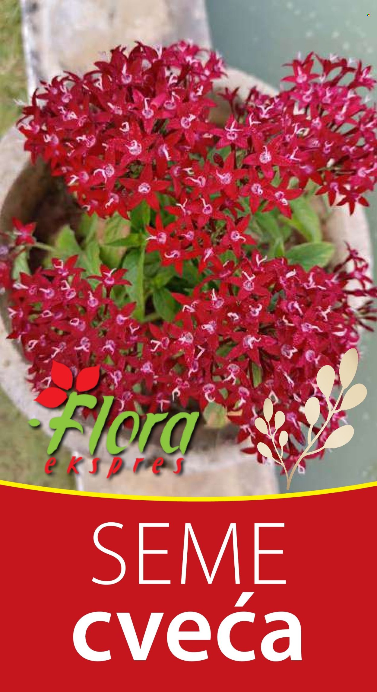 Flora Ekspres katalog. Stranica 1