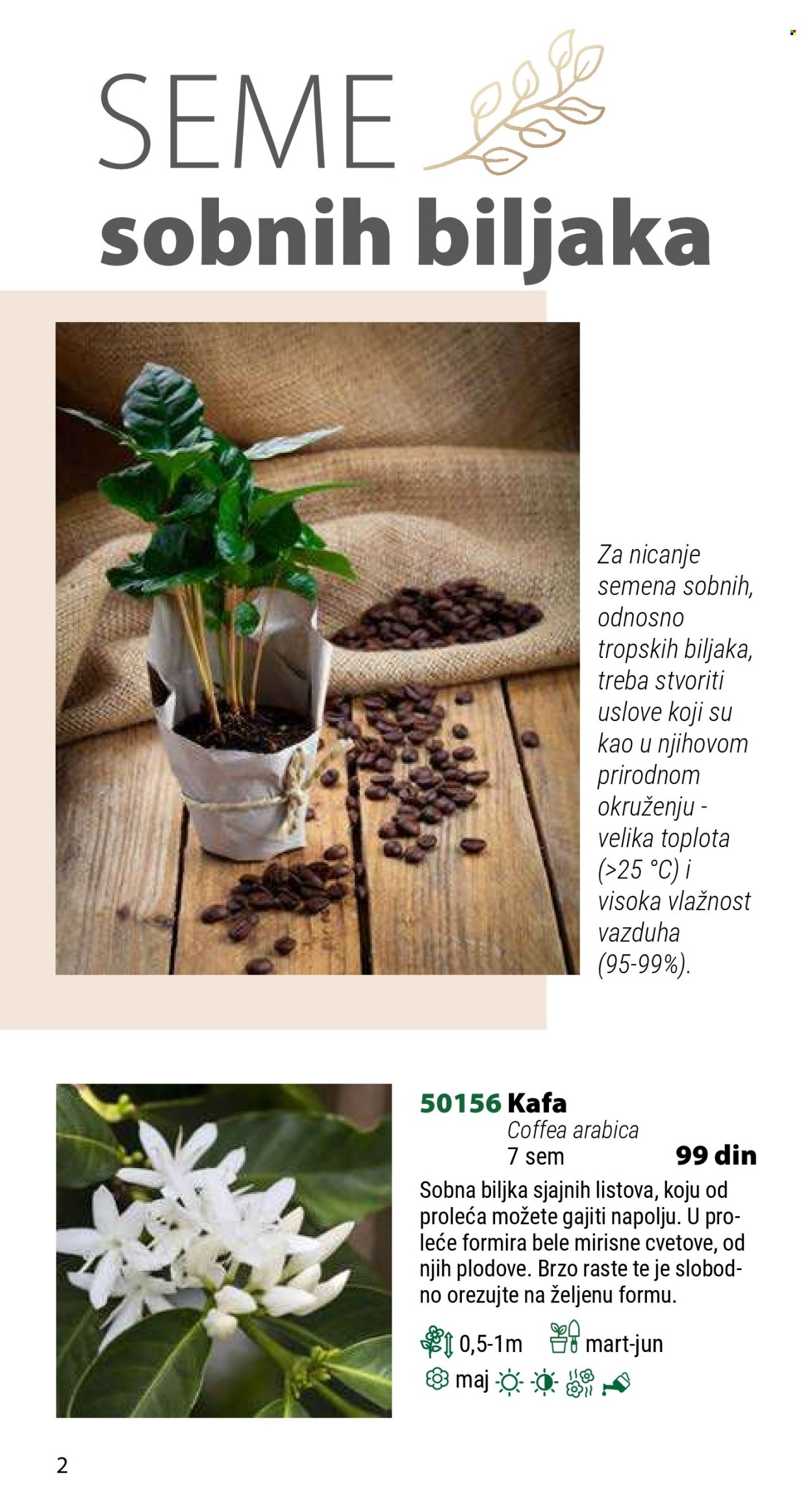 Flora Ekspres katalog. Stranica 2