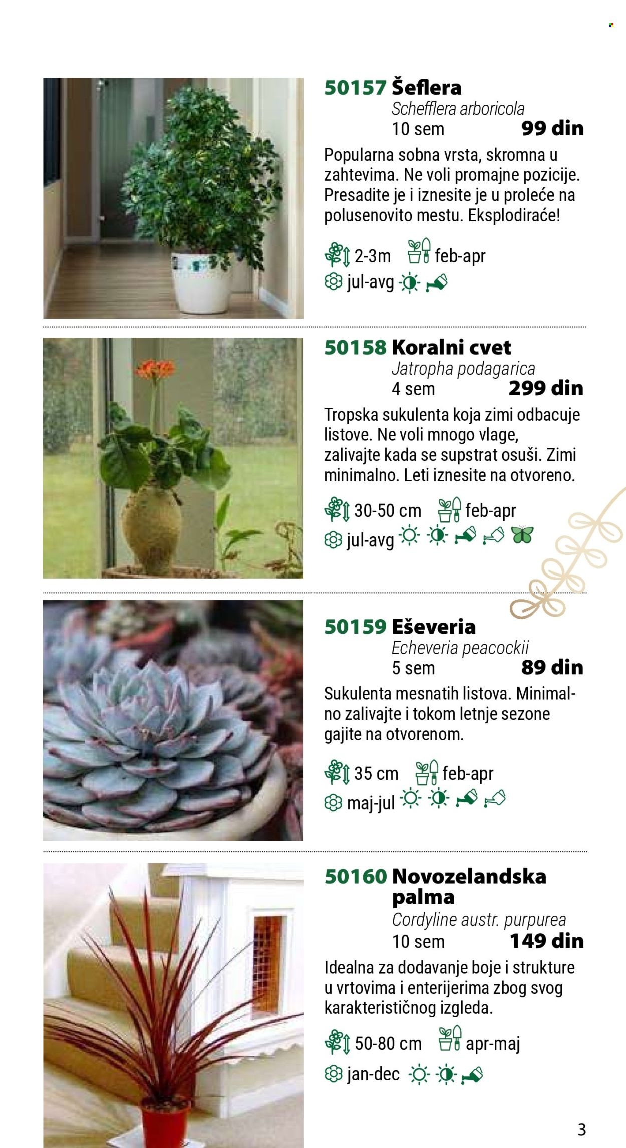 Flora Ekspres katalog. Stranica 3