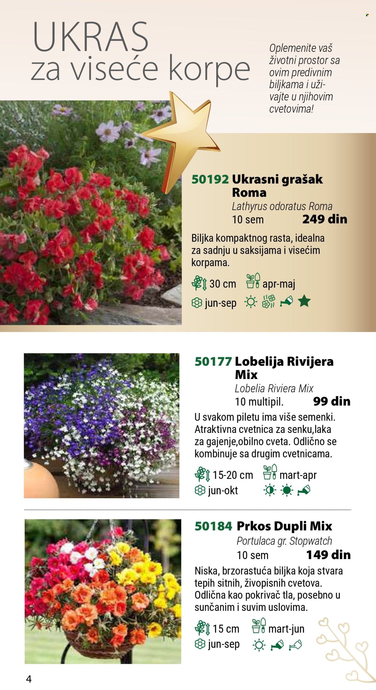 Flora Ekspres katalog. Stranica 4