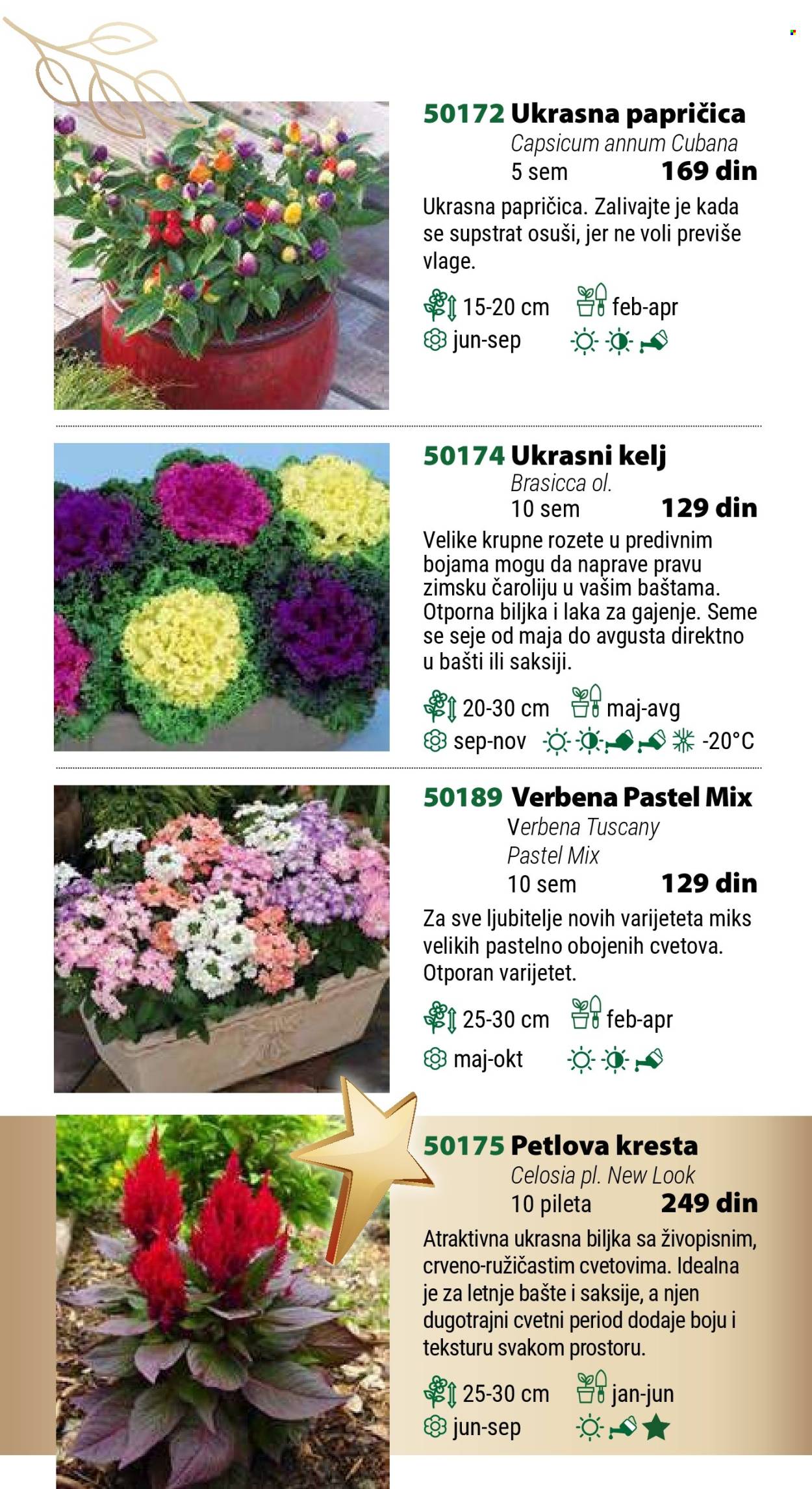 Flora Ekspres katalog. Stranica 6