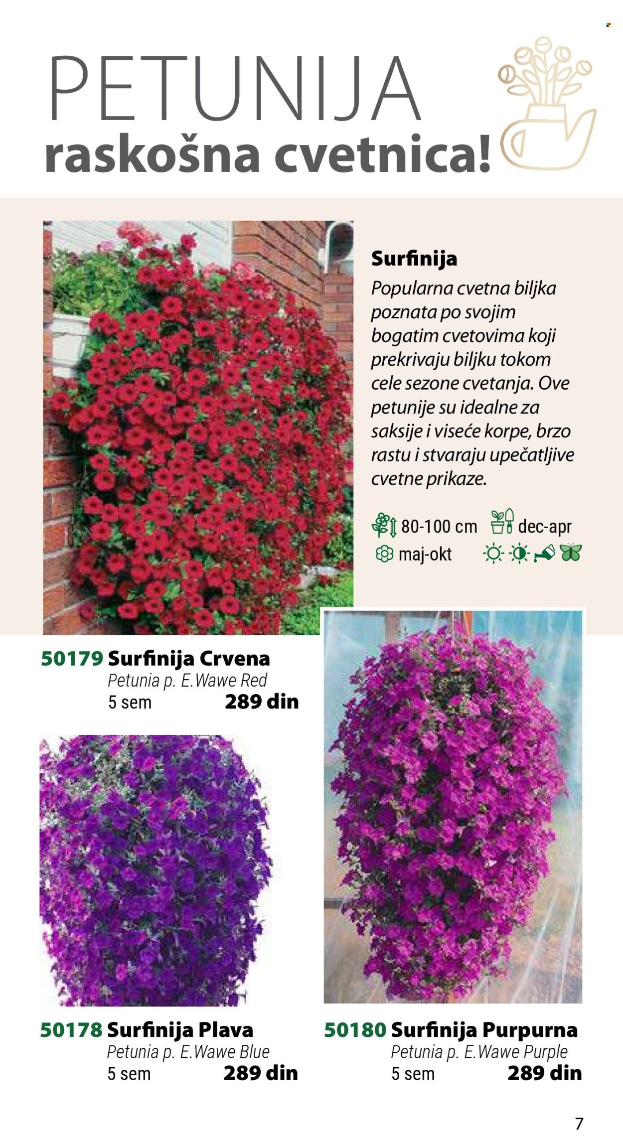 Flora Ekspres katalog. Stranica 7