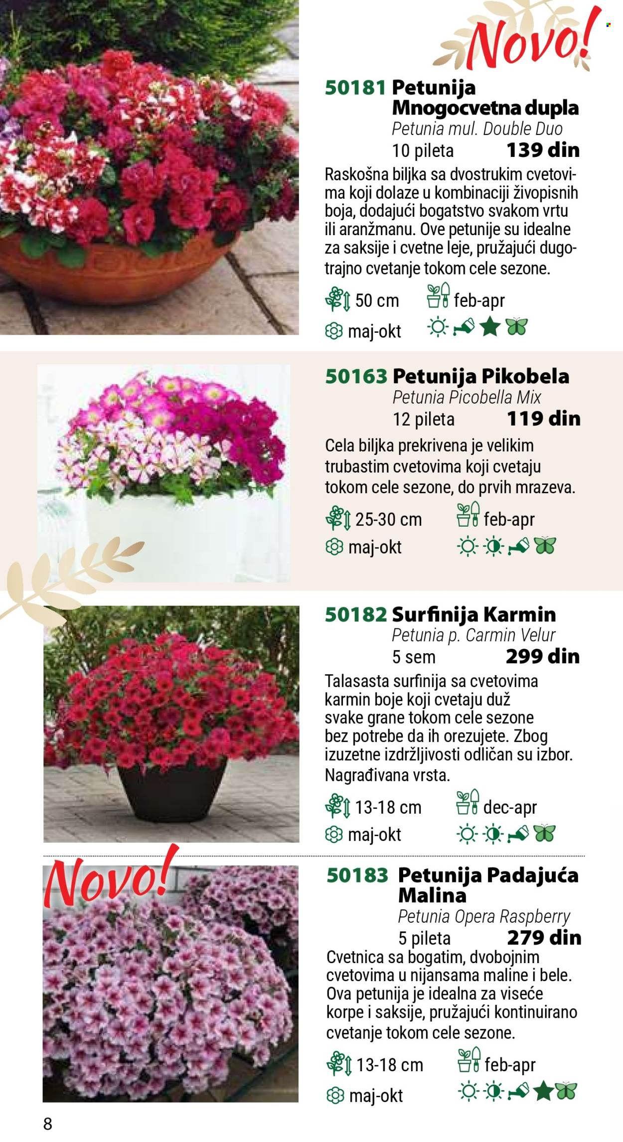 Flora Ekspres katalog. Stranica 8