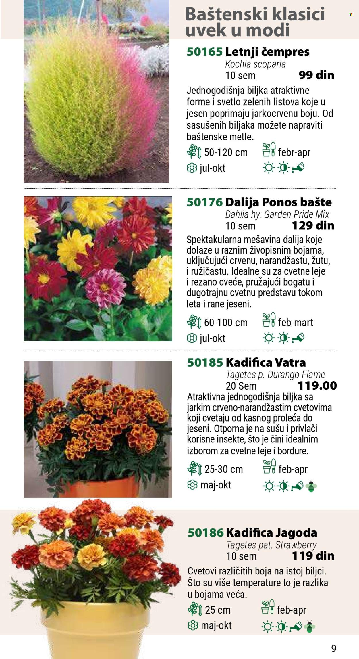 Flora Ekspres katalog. Stranica 9
