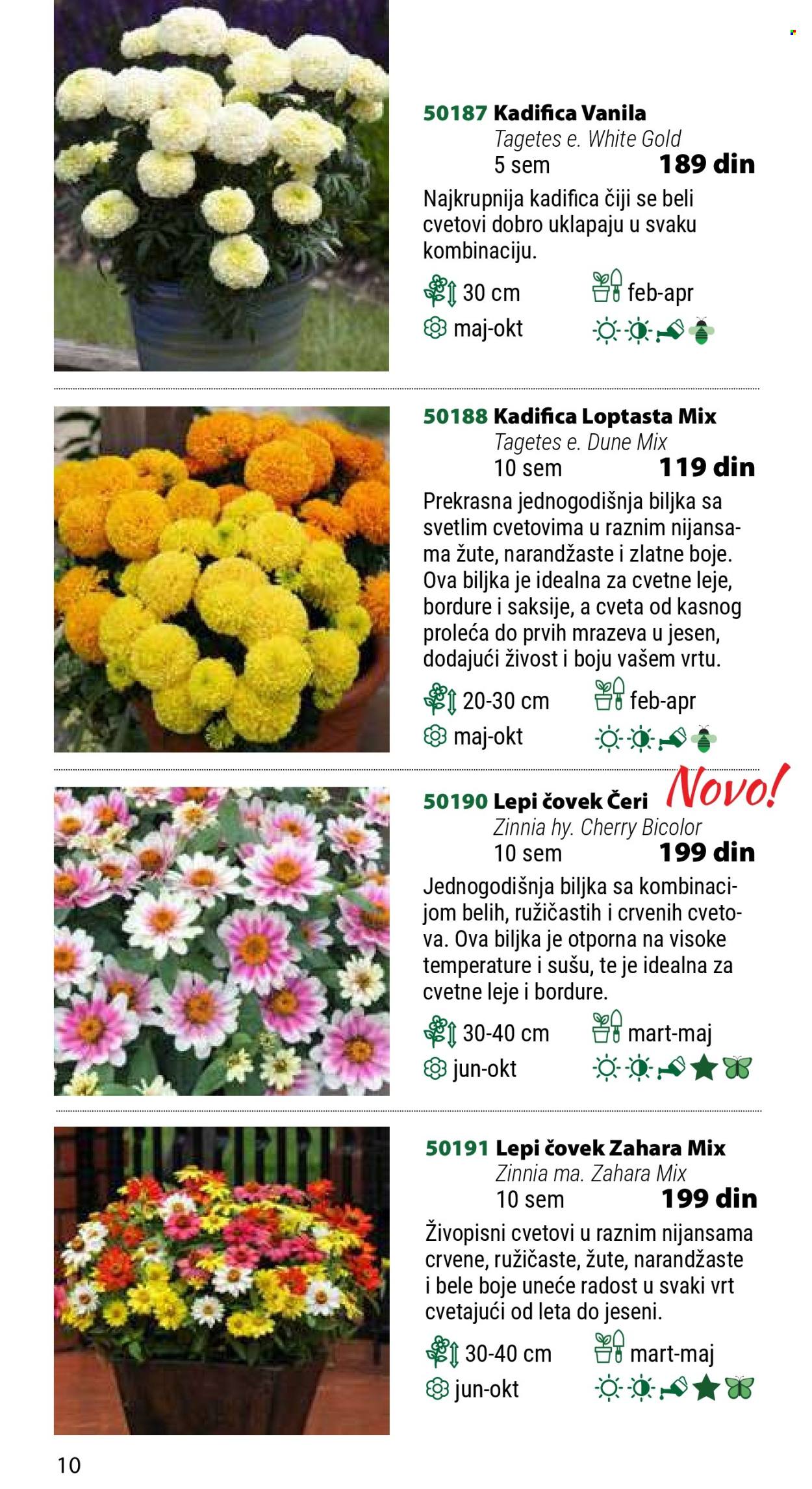 Flora Ekspres katalog. Stranica 10