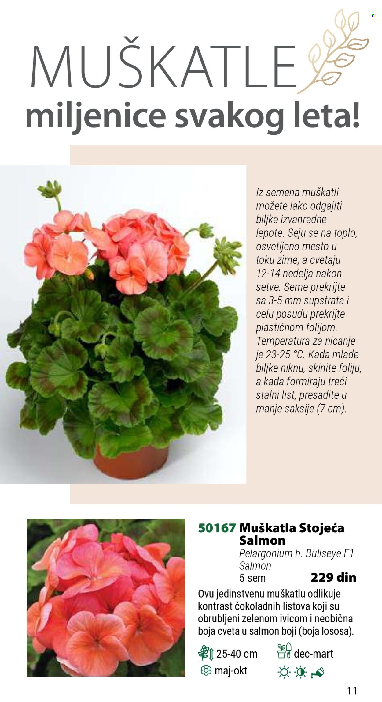 Flora Ekspres katalog. Stranica 11