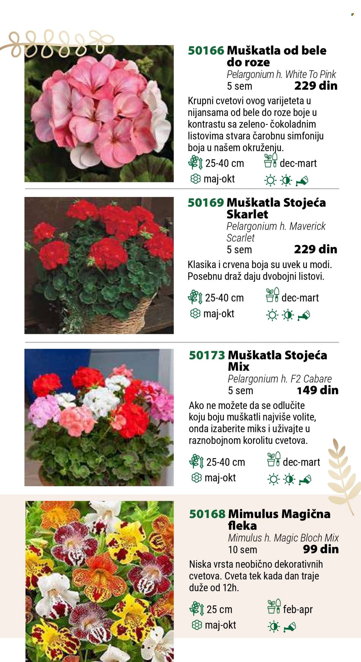 Flora Ekspres katalog. Stranica 12