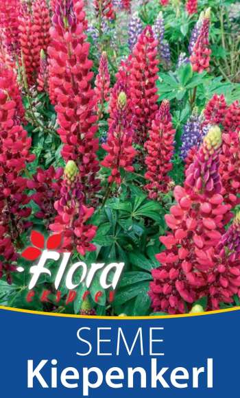 Flora Ekspres katalog.