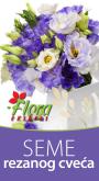 leaflet