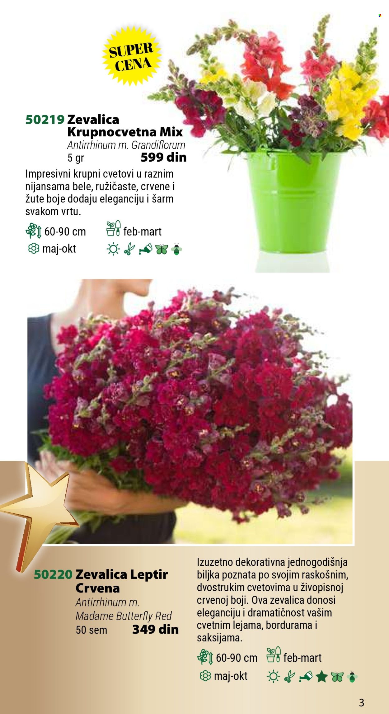 Flora Ekspres katalog. Stranica 1
