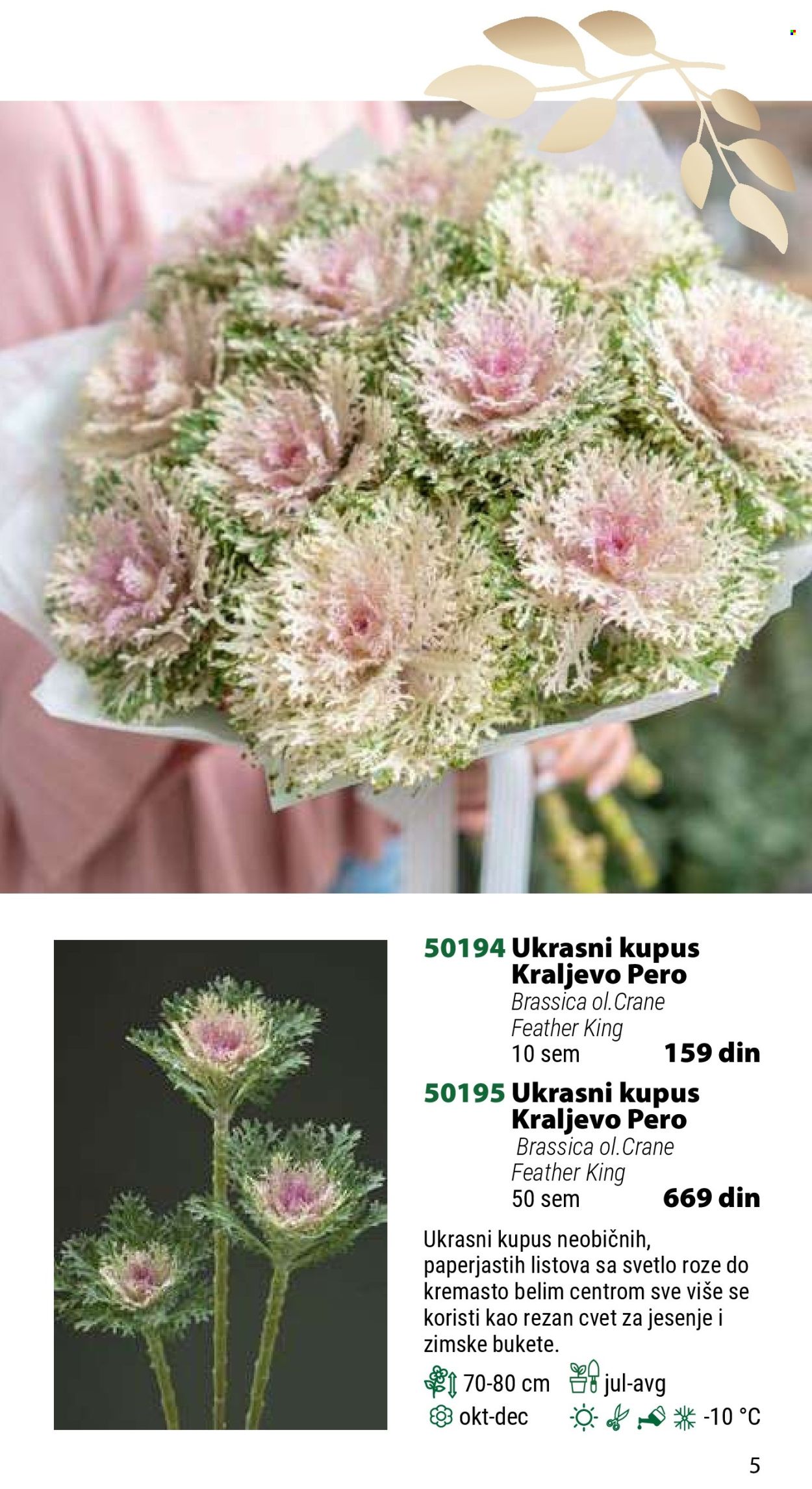 Flora Ekspres katalog. Stranica 1