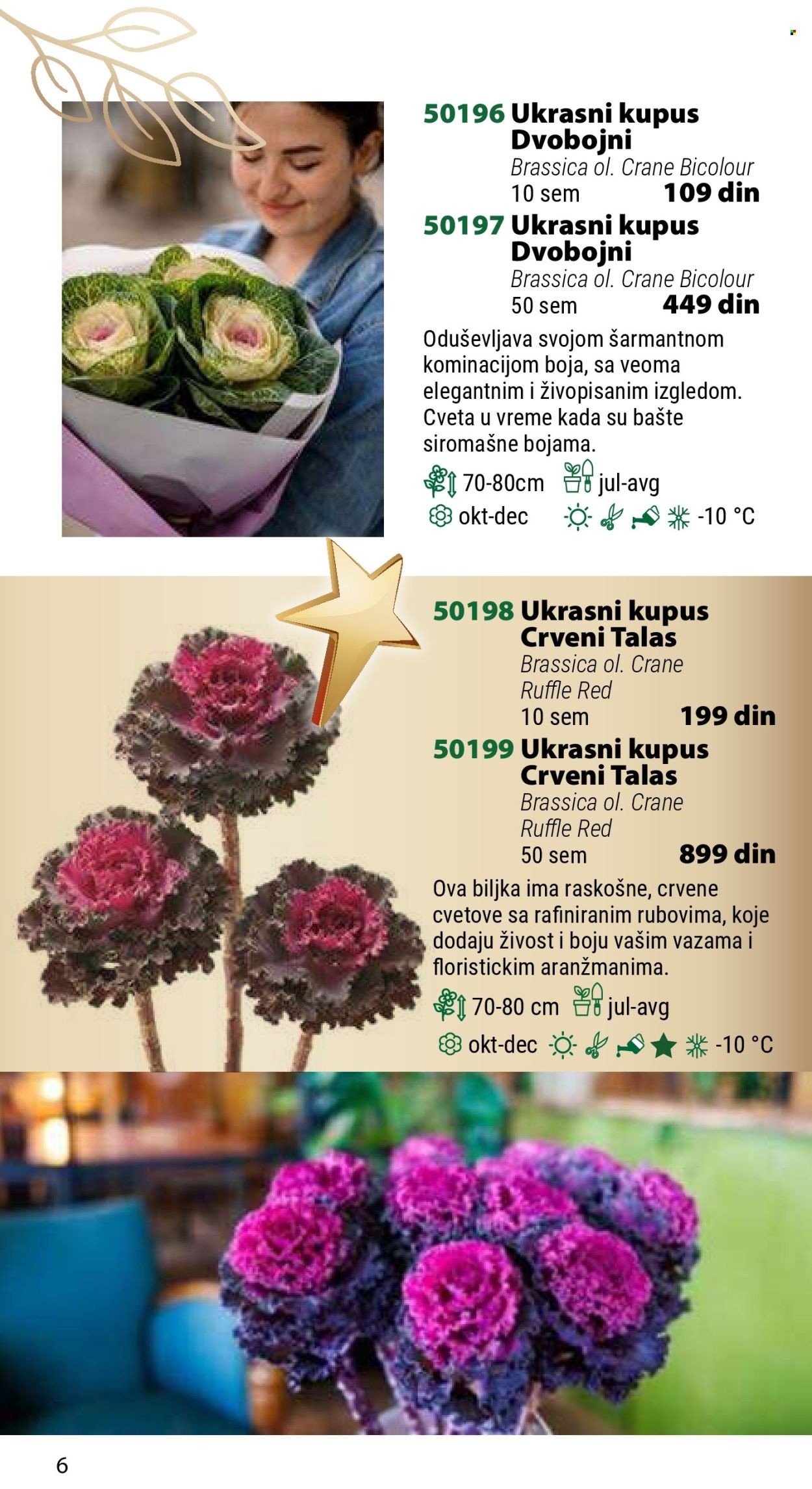 Flora Ekspres katalog. Stranica 1