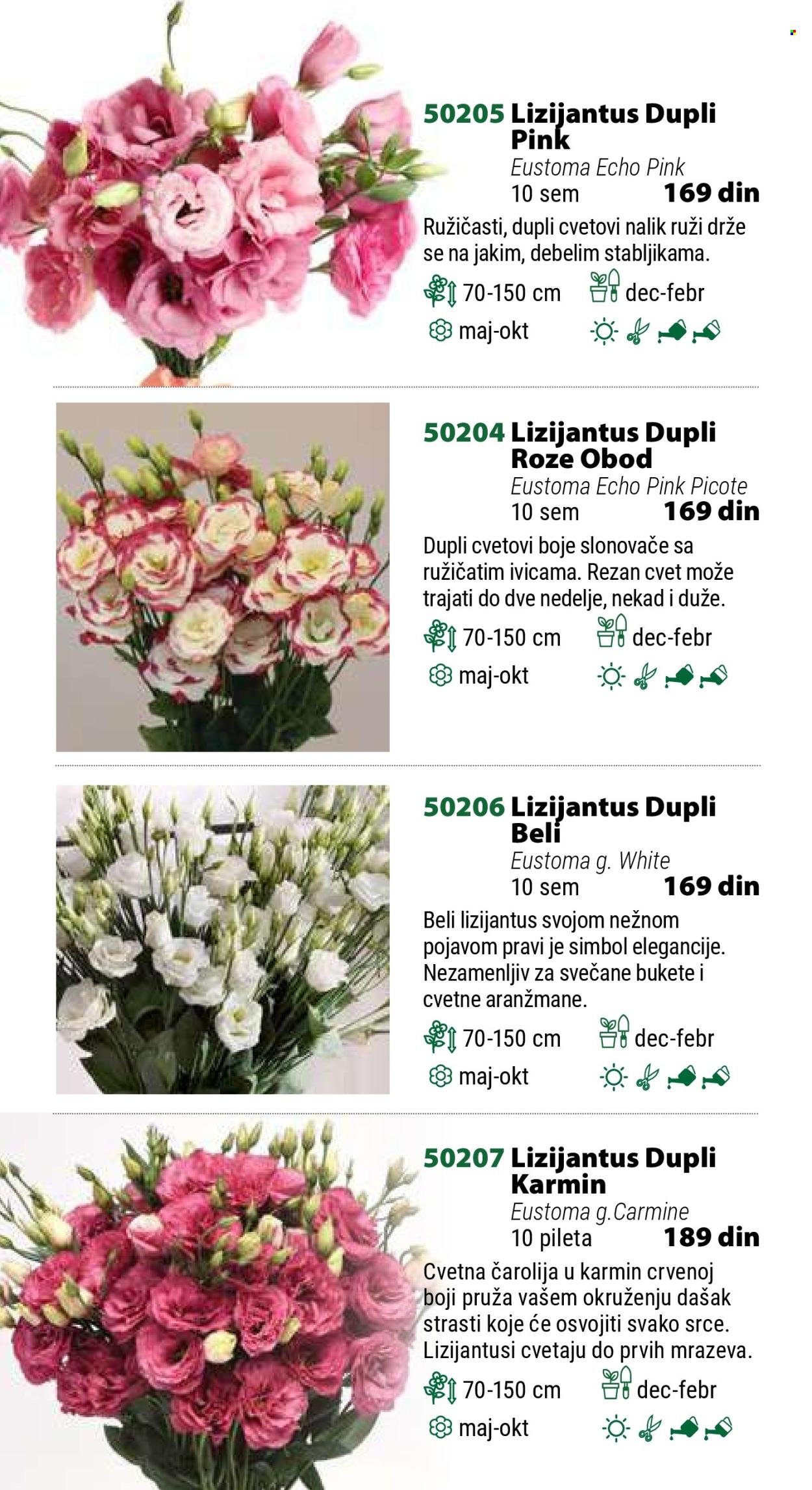 Flora Ekspres katalog. Stranica 1