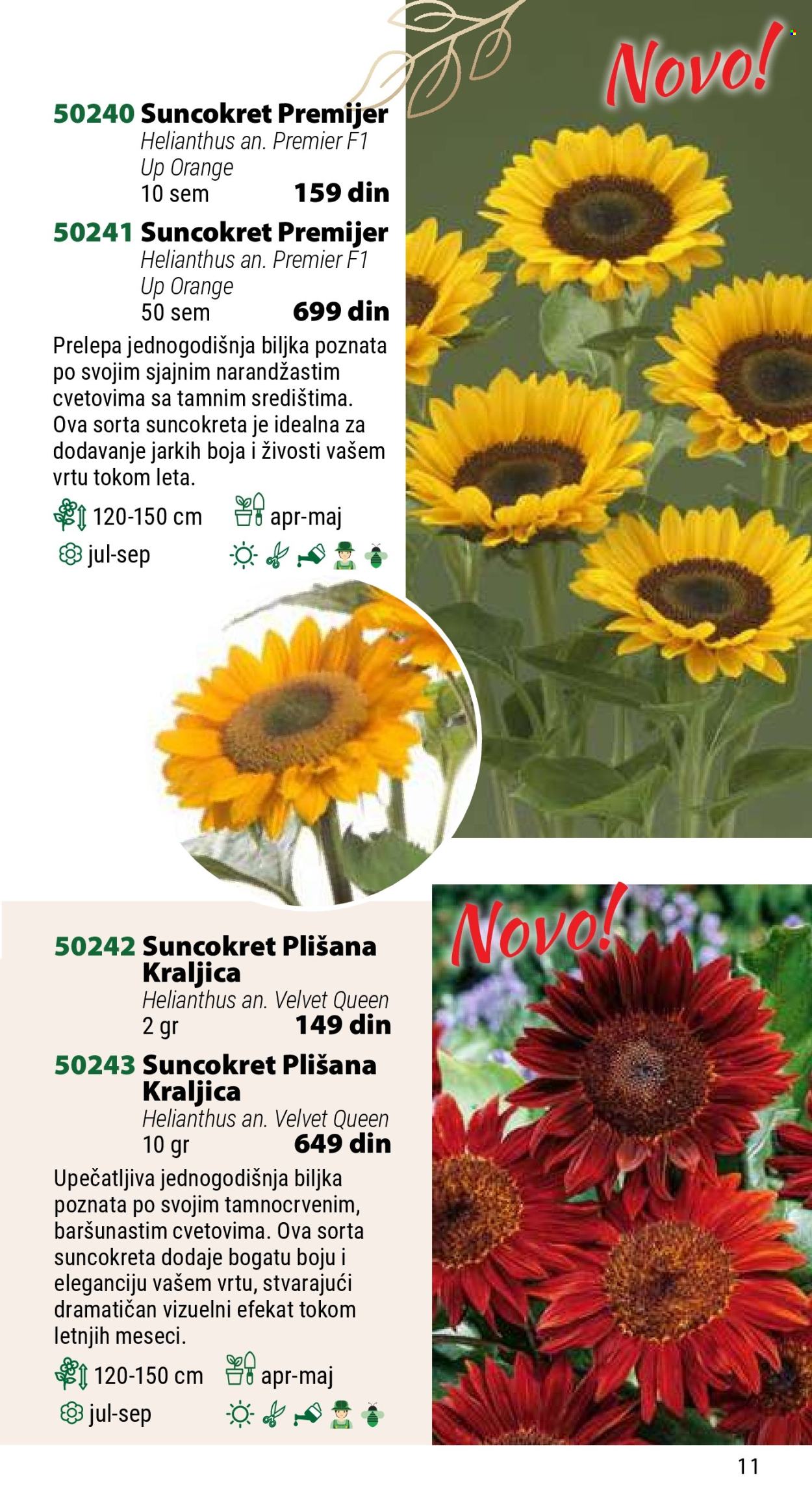 Flora Ekspres katalog. Stranica 1
