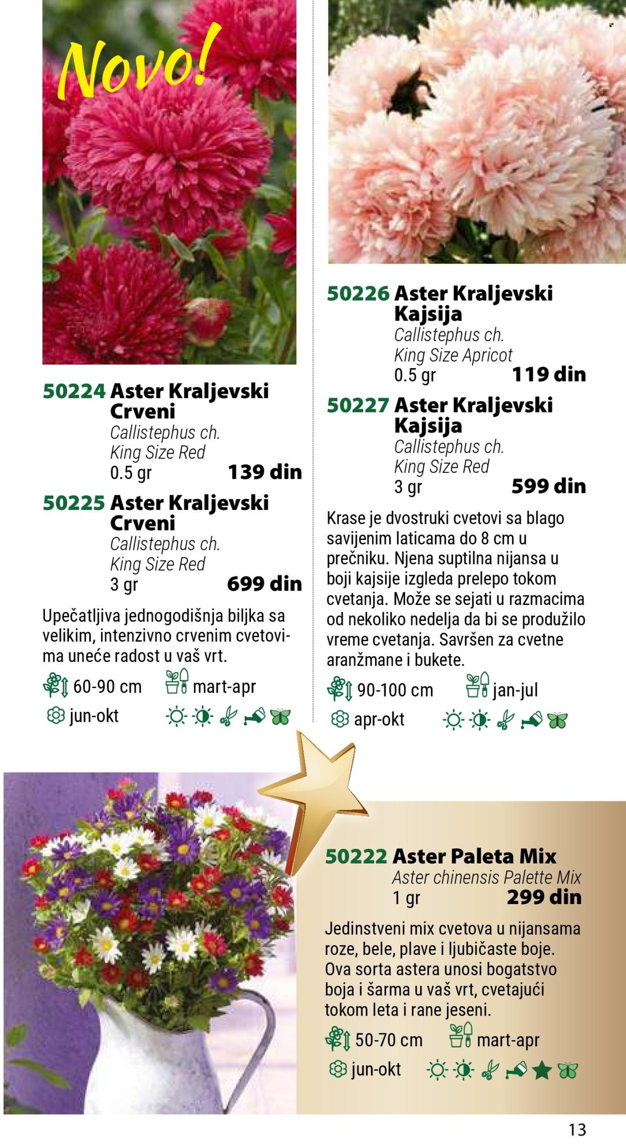 Flora Ekspres katalog. Stranica 1