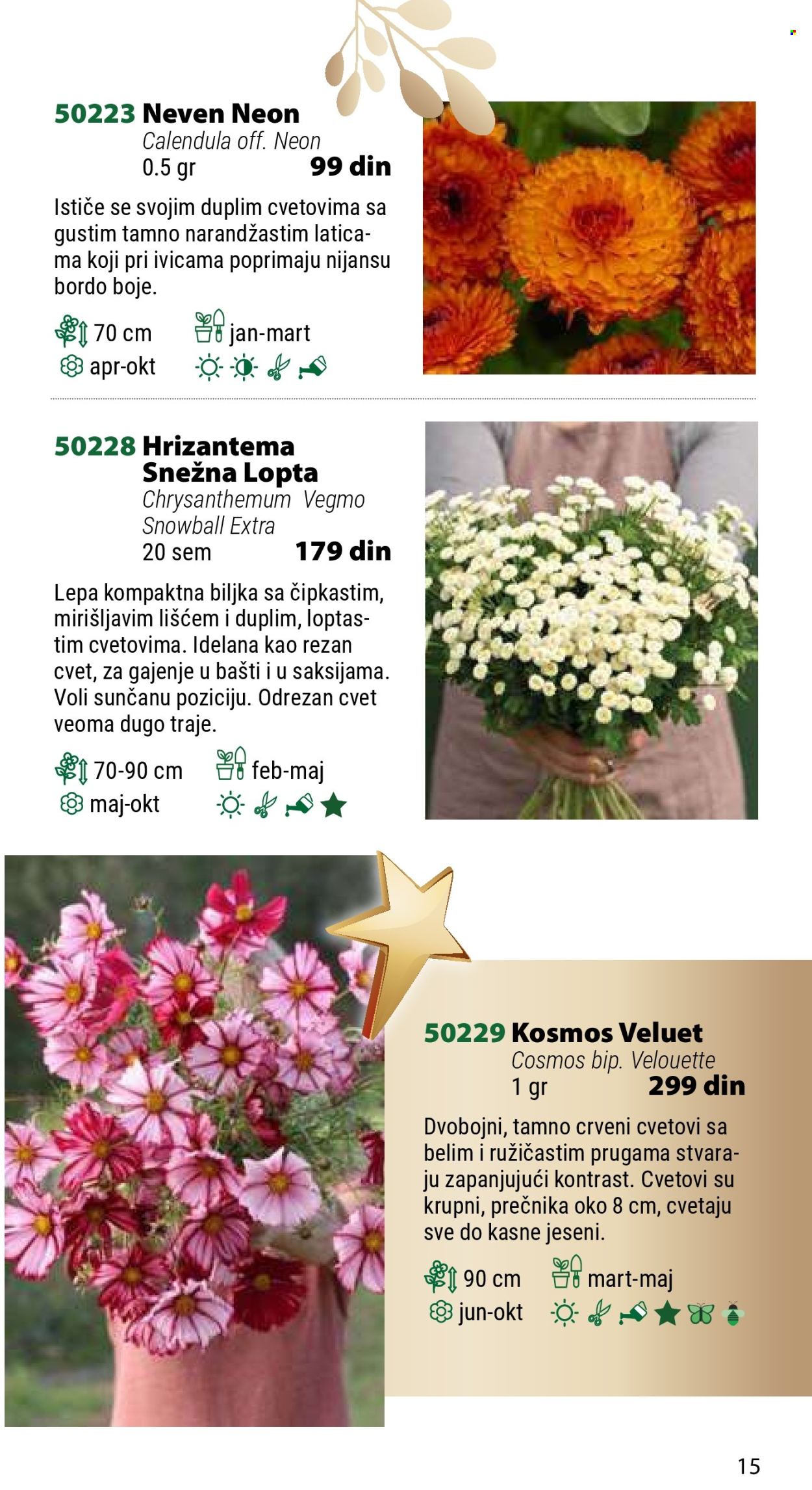 Flora Ekspres katalog. Stranica 1