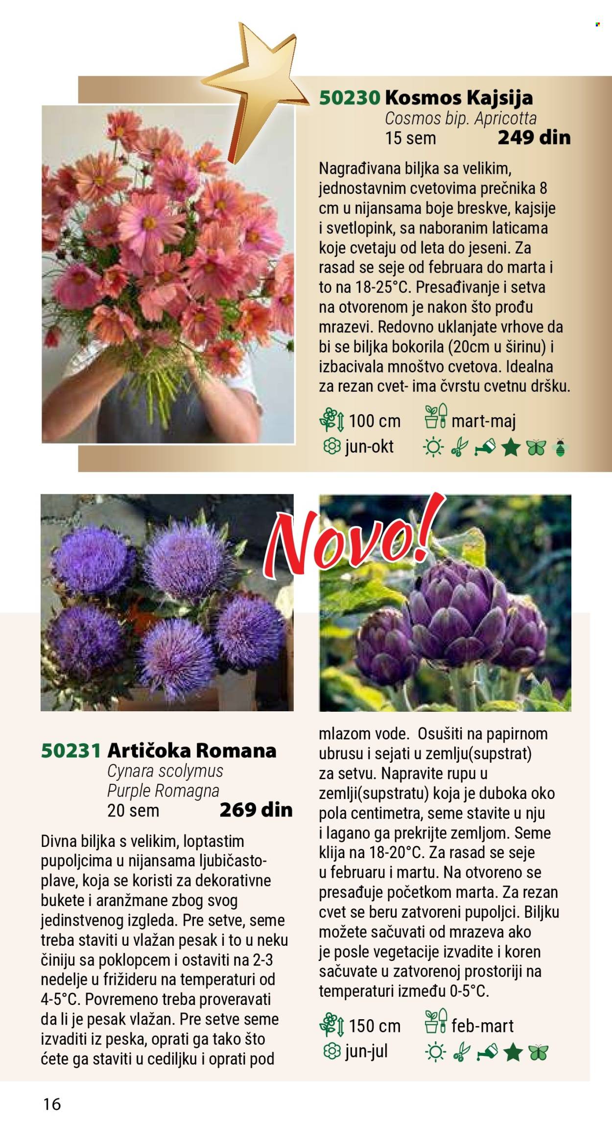 Flora Ekspres katalog. Stranica 1