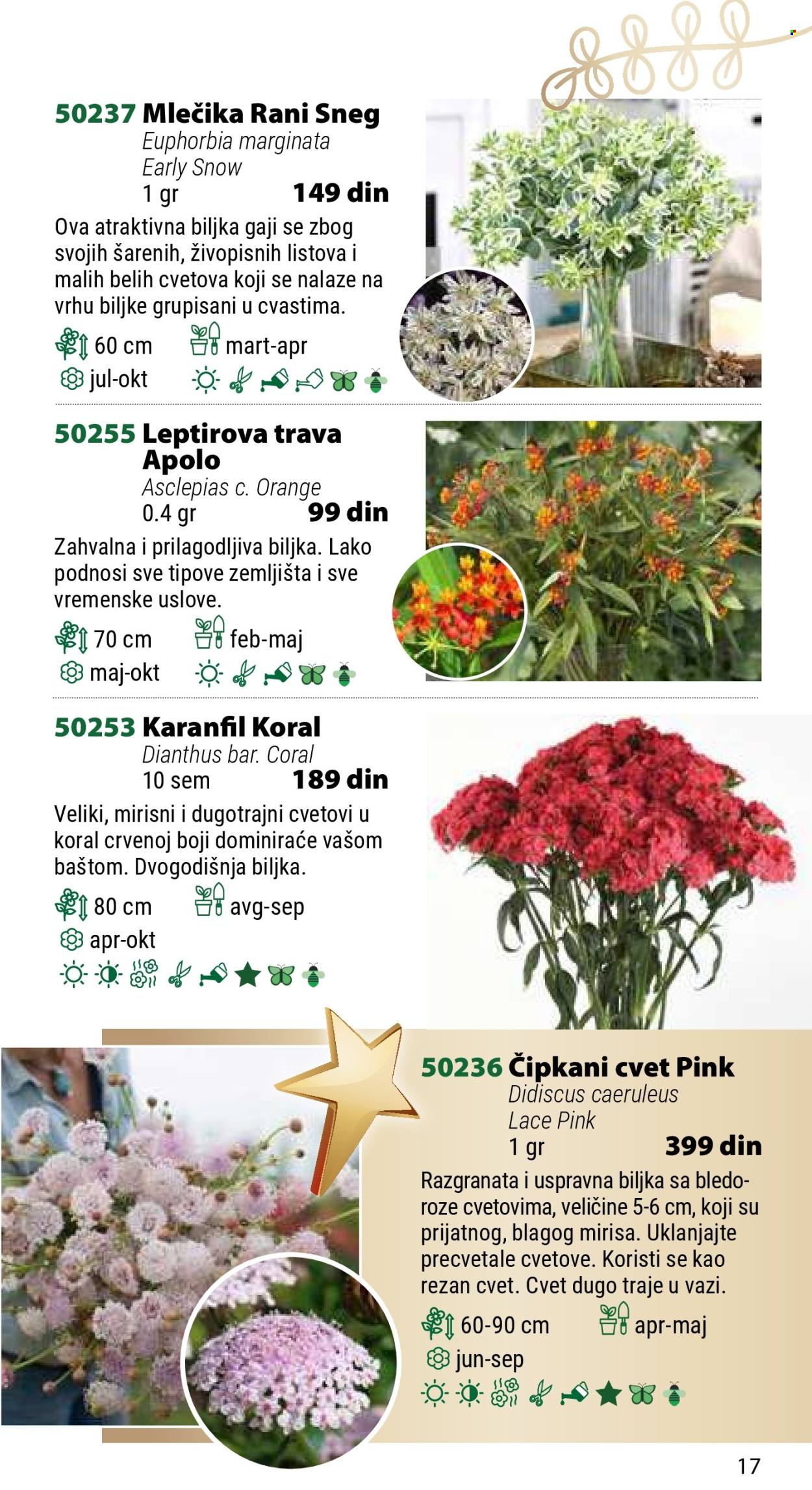 Flora Ekspres katalog. Stranica 1
