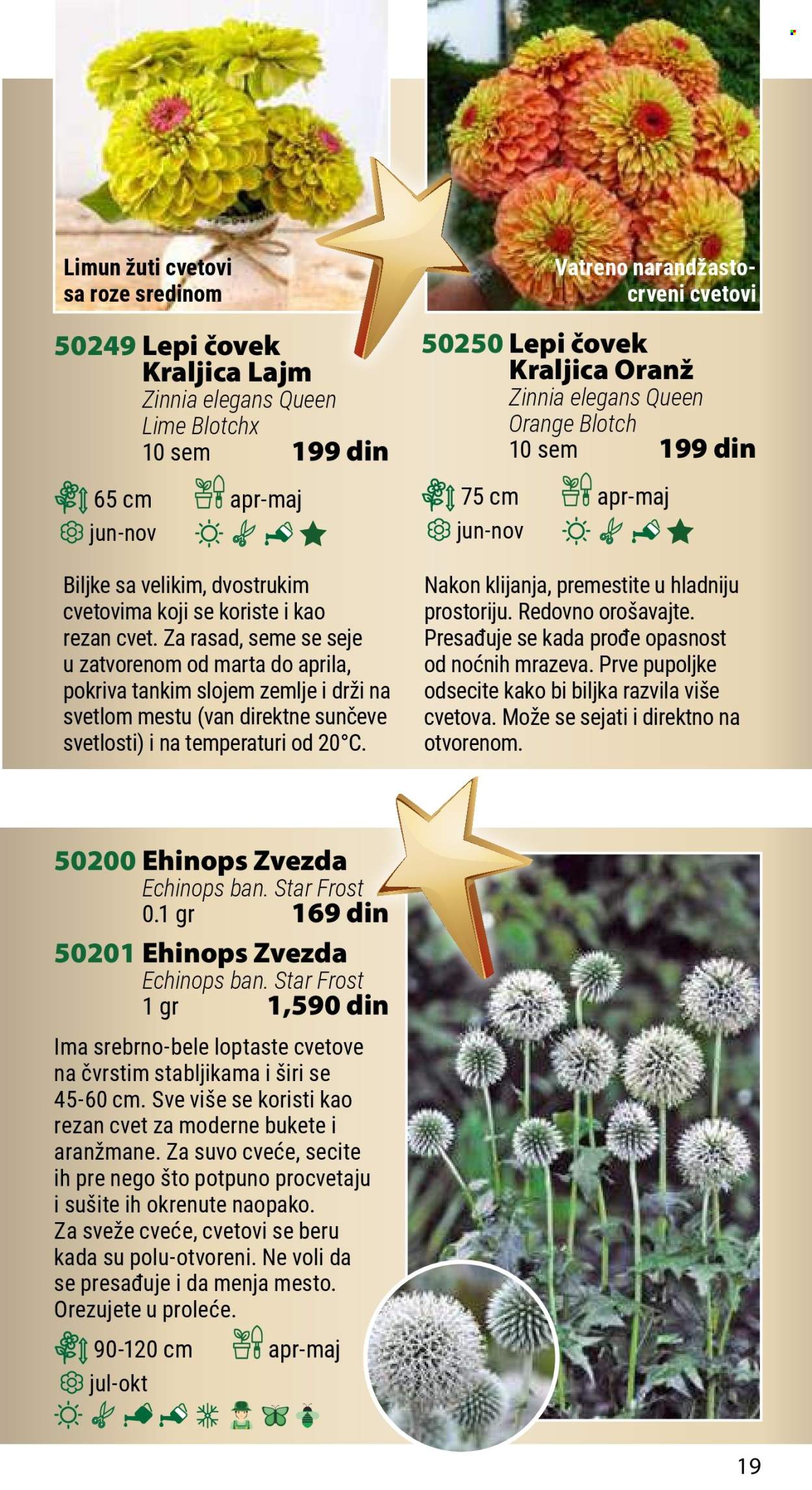 Flora Ekspres katalog. Stranica 1