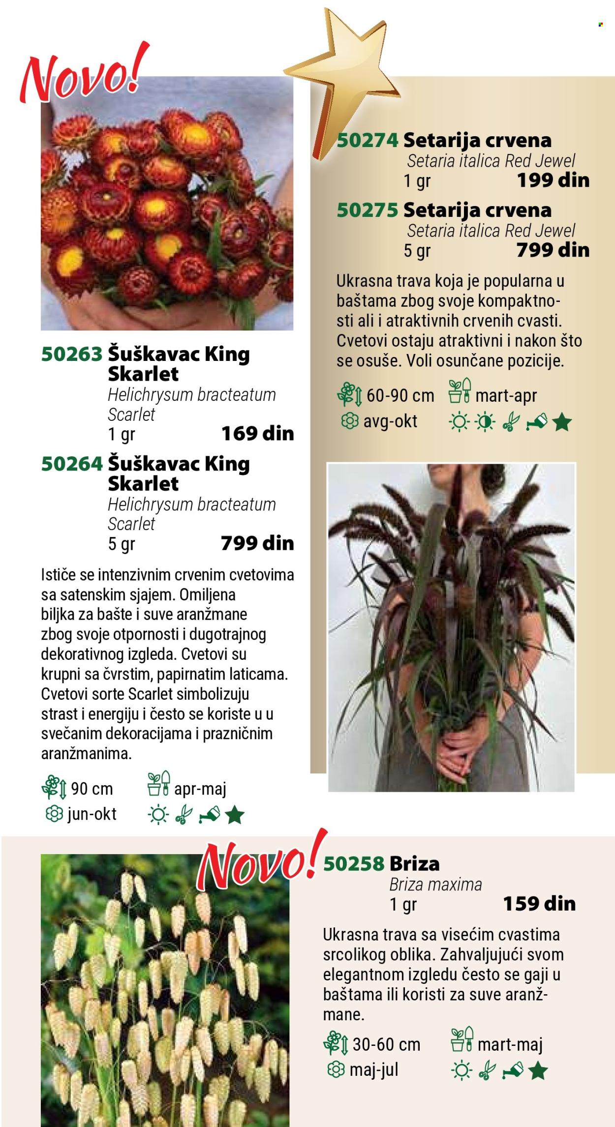 Flora Ekspres katalog. Stranica 1