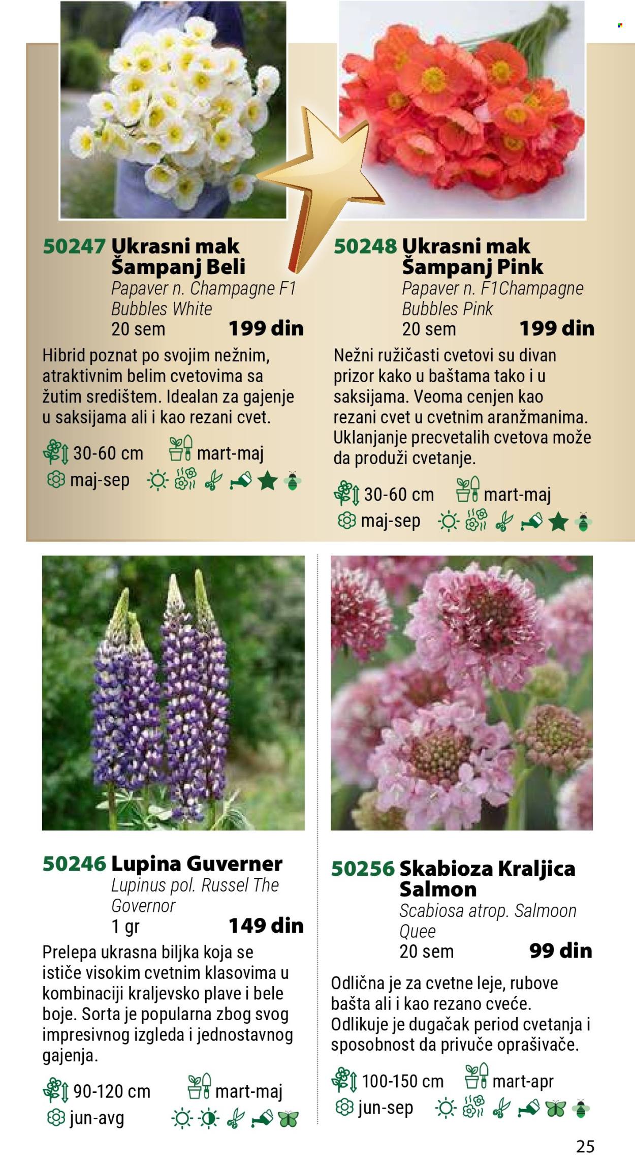 Flora Ekspres katalog. Stranica 1