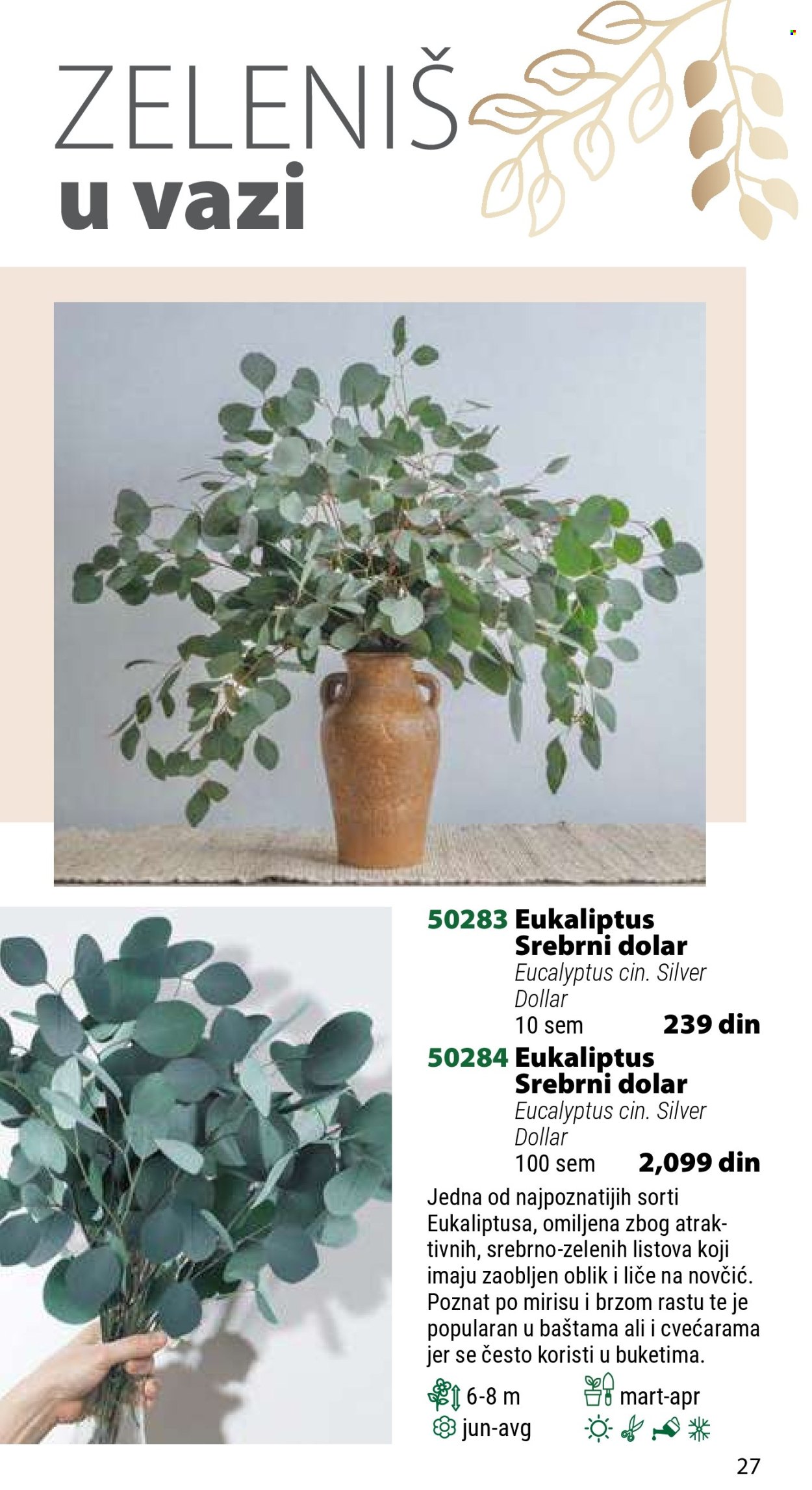 Flora Ekspres katalog. Stranica 1