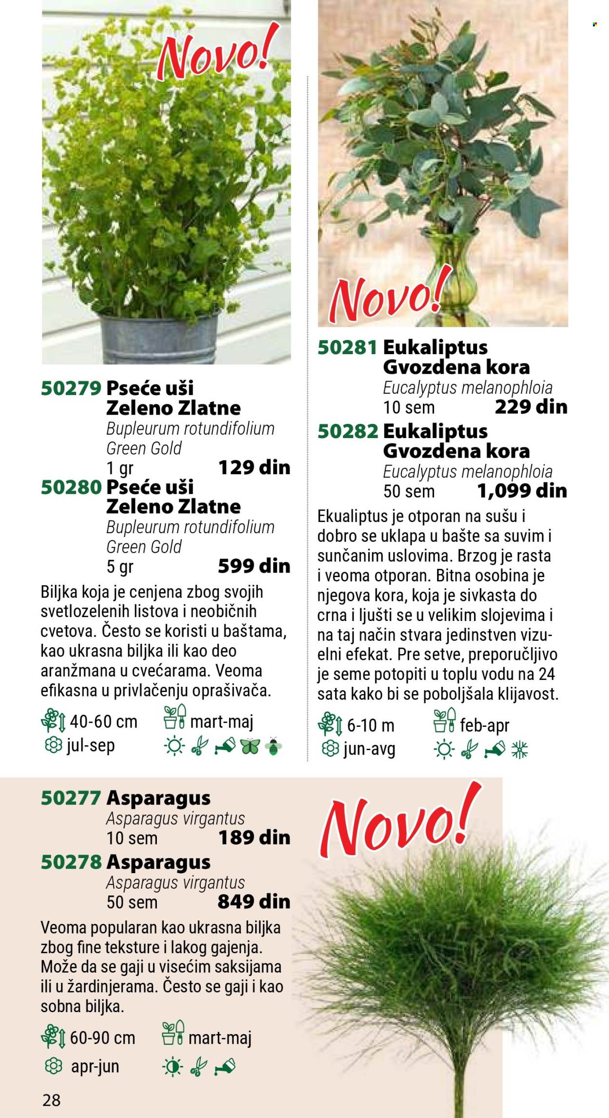 Flora Ekspres katalog. Stranica 1